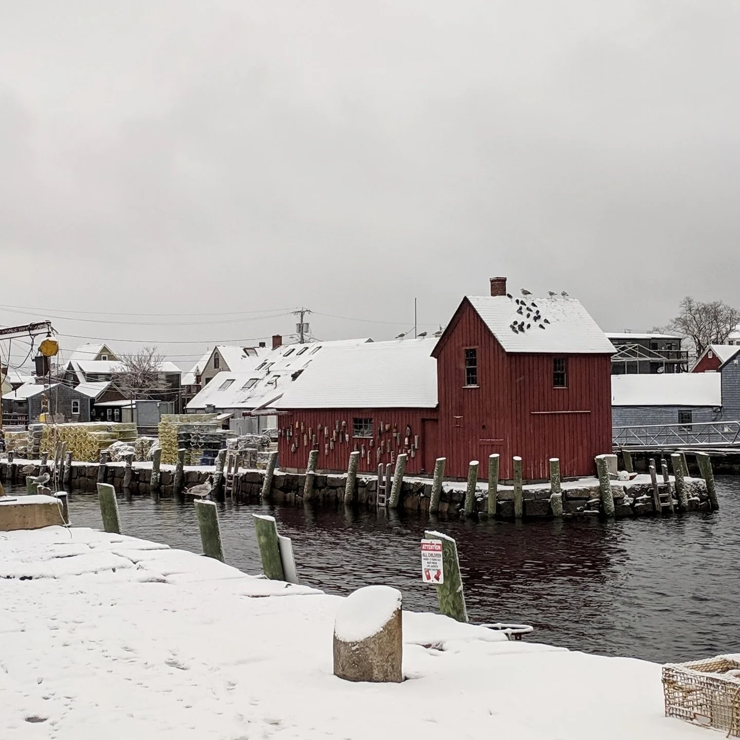 Staying in tonight?❄️ Enjoy Feather and Wedge from the comfort of your couch!

Order takeout online for pick up asap (link in bio)

Open 4:30-close tonight😉