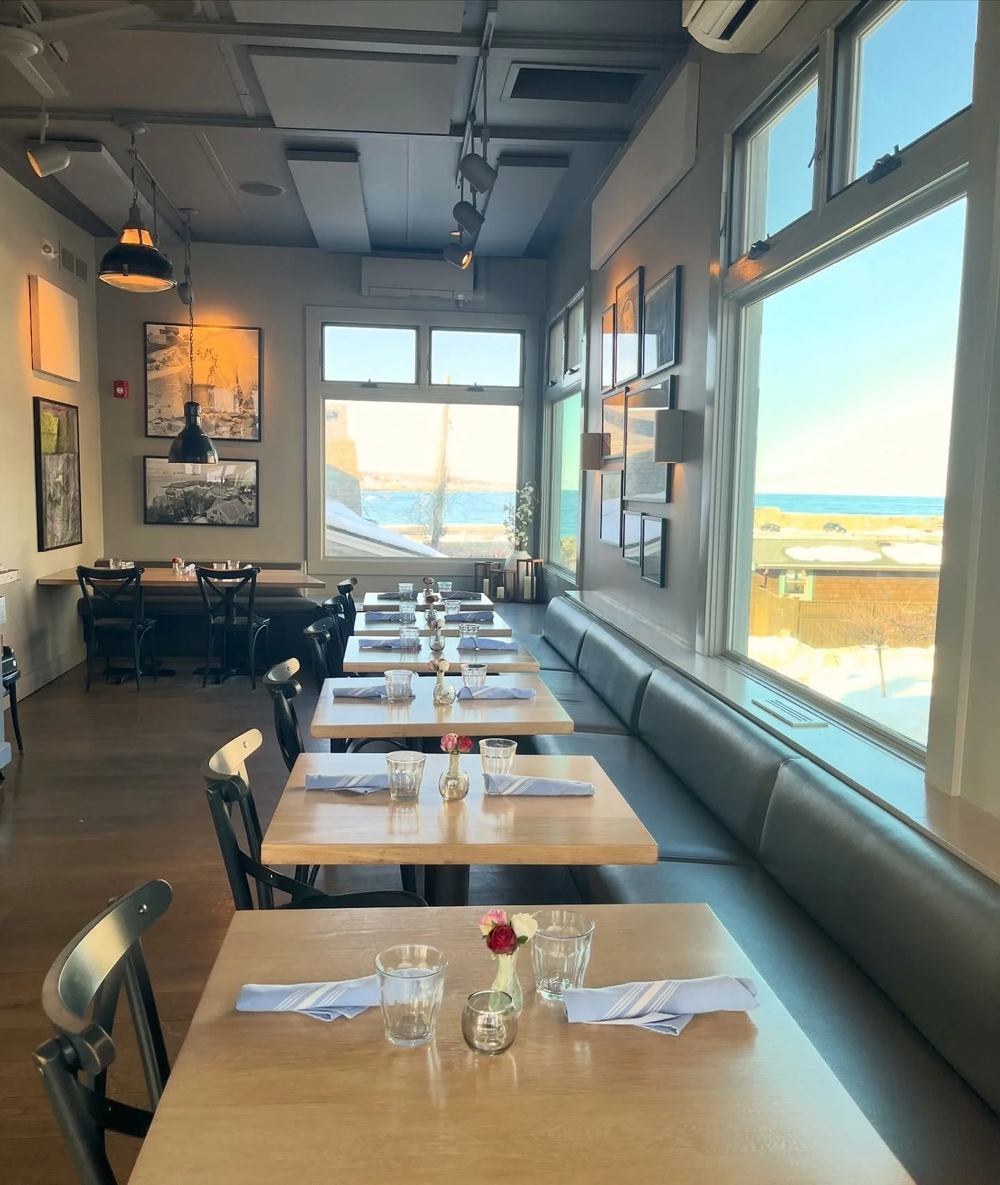 A nice warm spot to gather🩵