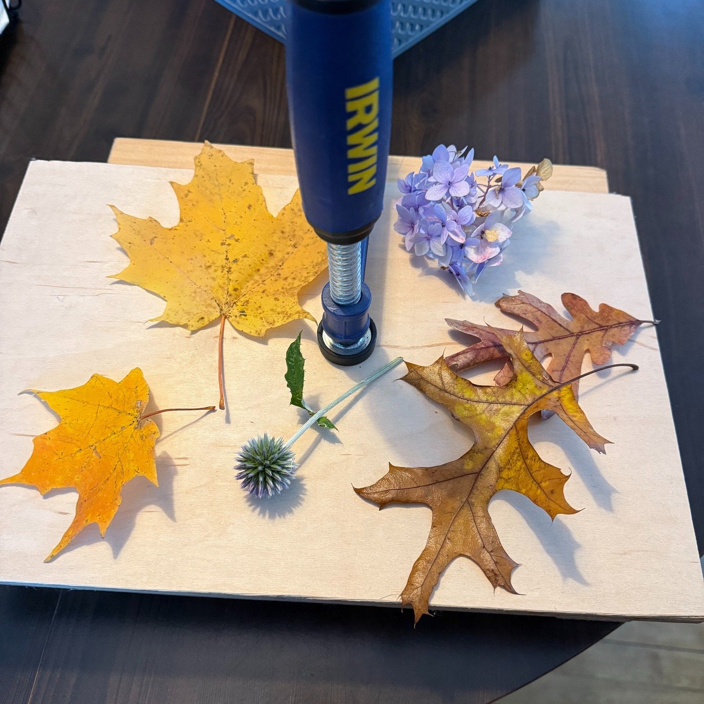 I forgot to take a &quot;before&quot; picture before all the rest of the stuff went into the press, but I have a bunch of my garden's final flowers of the year in the press. The things on top are just going to dry.