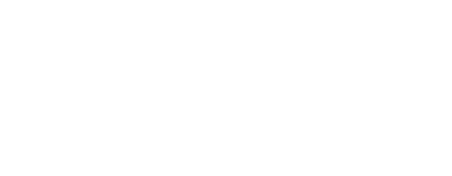 Maestro Training