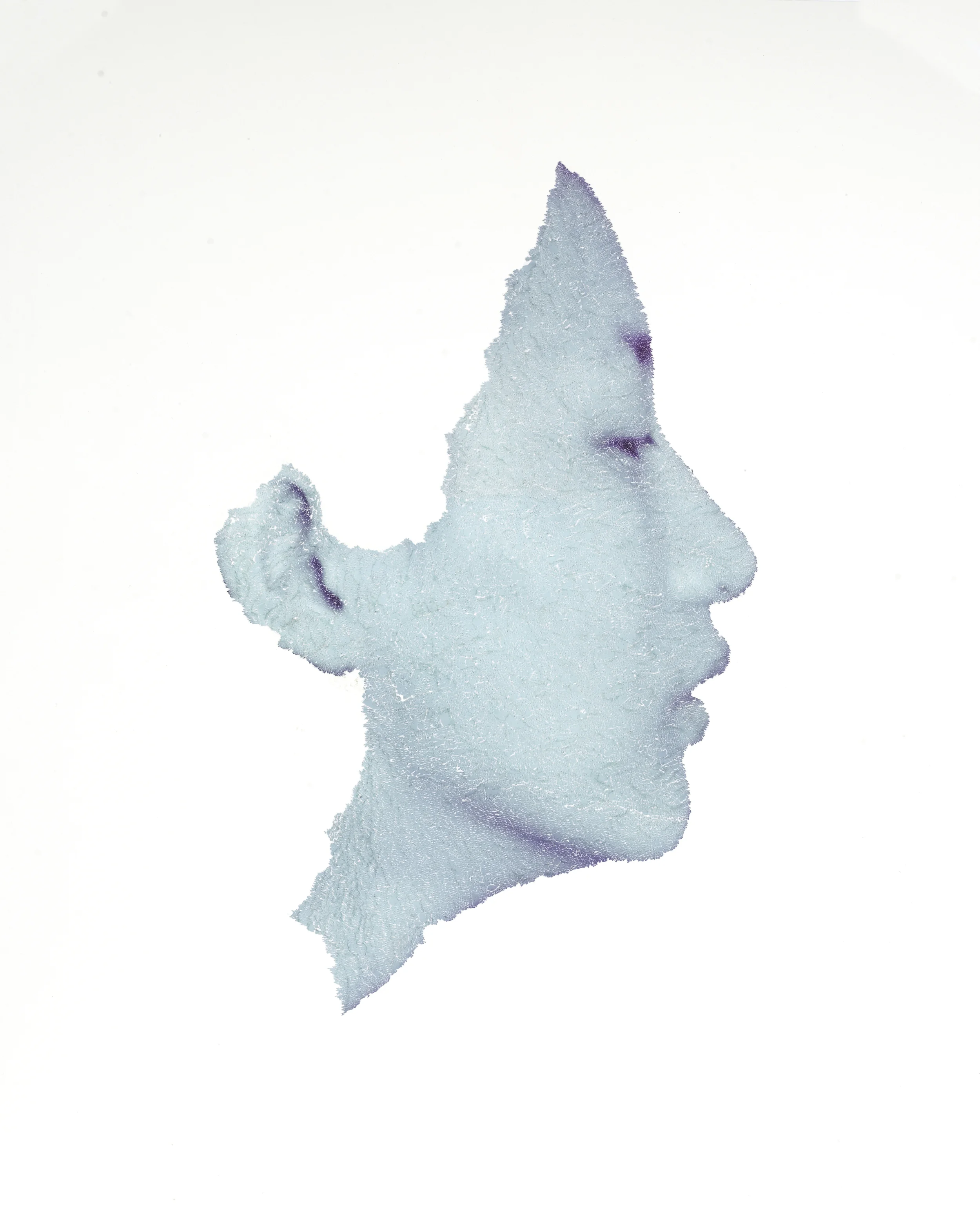  Blue portrait, 2011, torn and pasted photo on paper, 40"x32" 