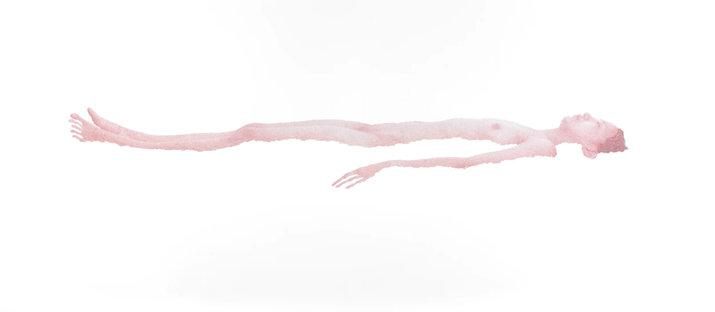  Float, 2011, torn and pasted photo on paper, 51"x120" 