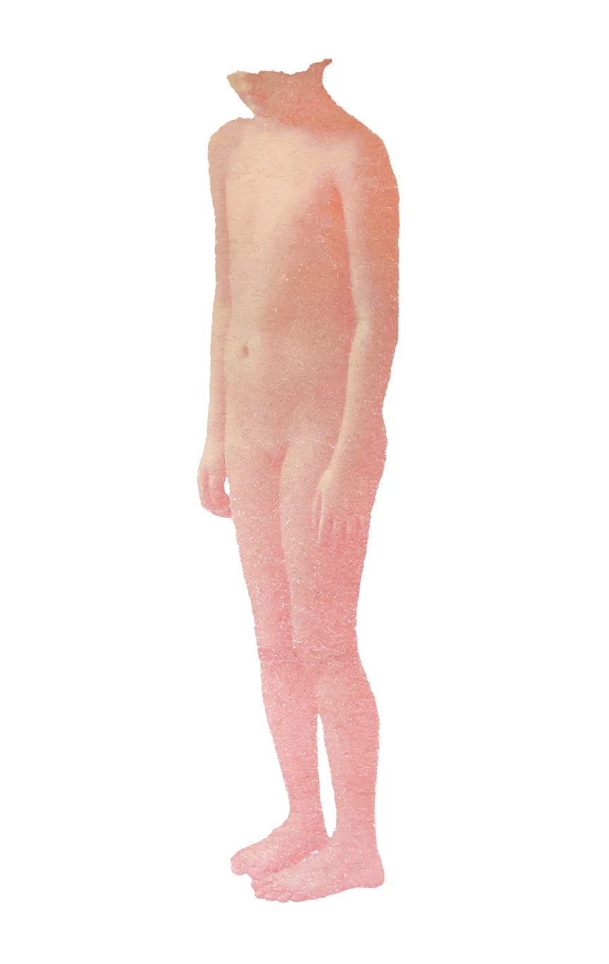  Standing there, 2015, torn and pated photo on mylar,85"x42" &nbsp; 