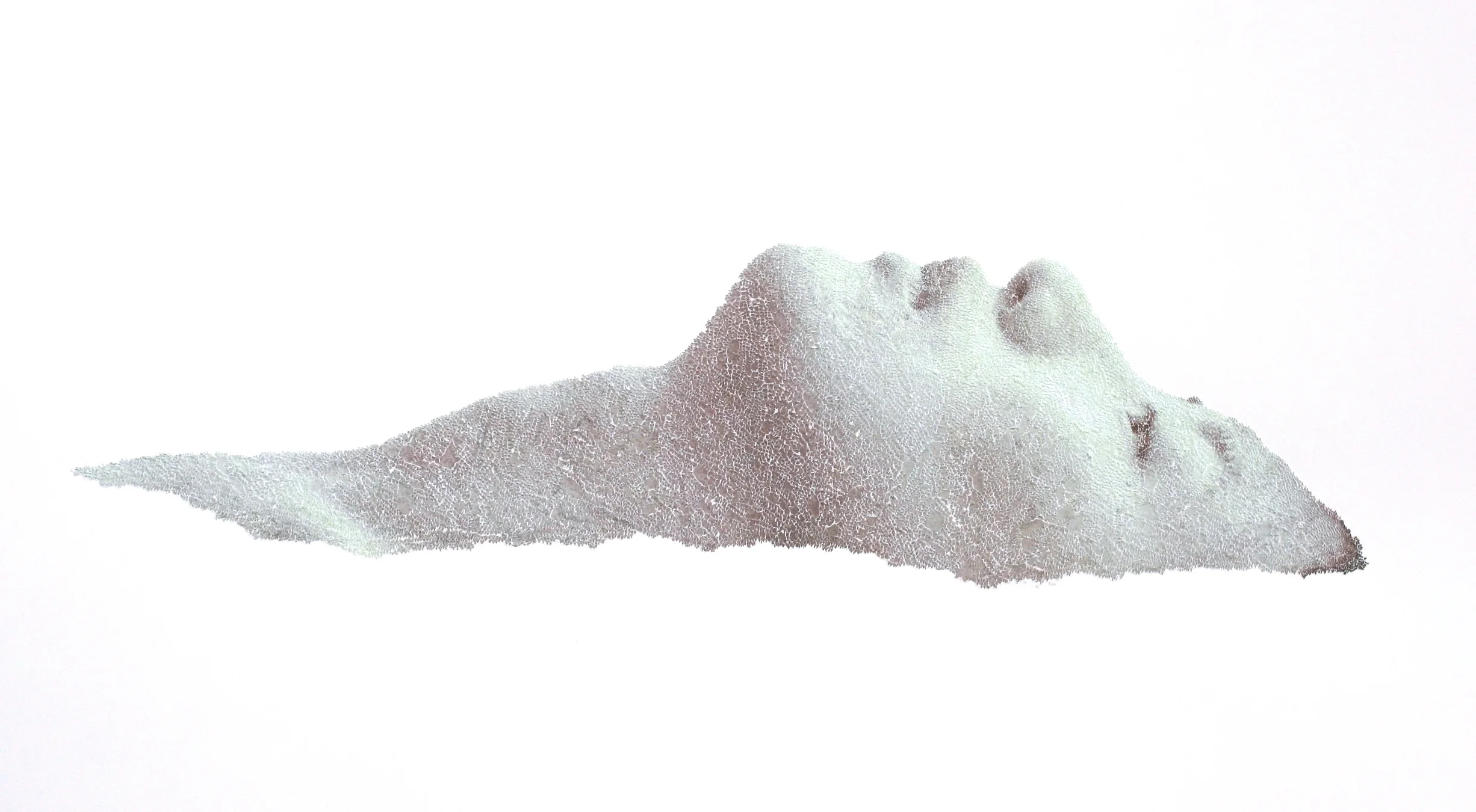  Float Face, 2012, torn and pasted photo on paper, 32"x40" 