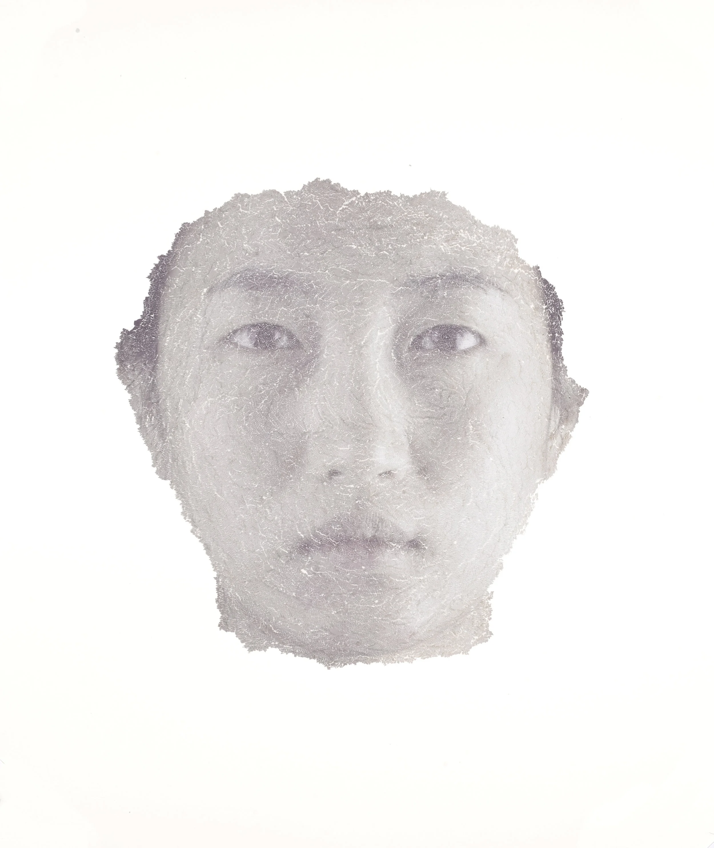  Face, Self-portrait, 2011, torn and pasted photo on paper, 40"x32" 