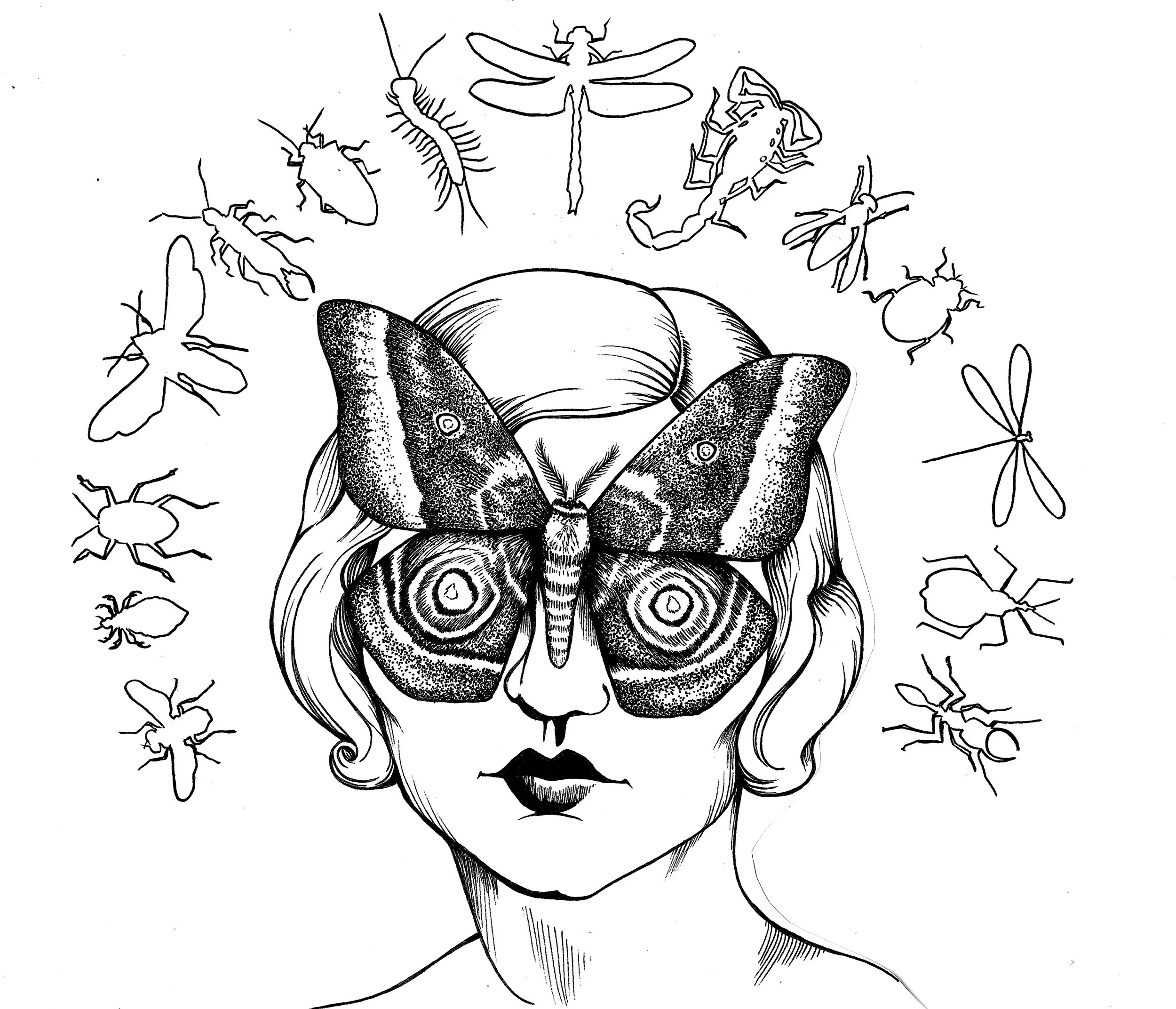 INSECT SHOW WINTER 2018