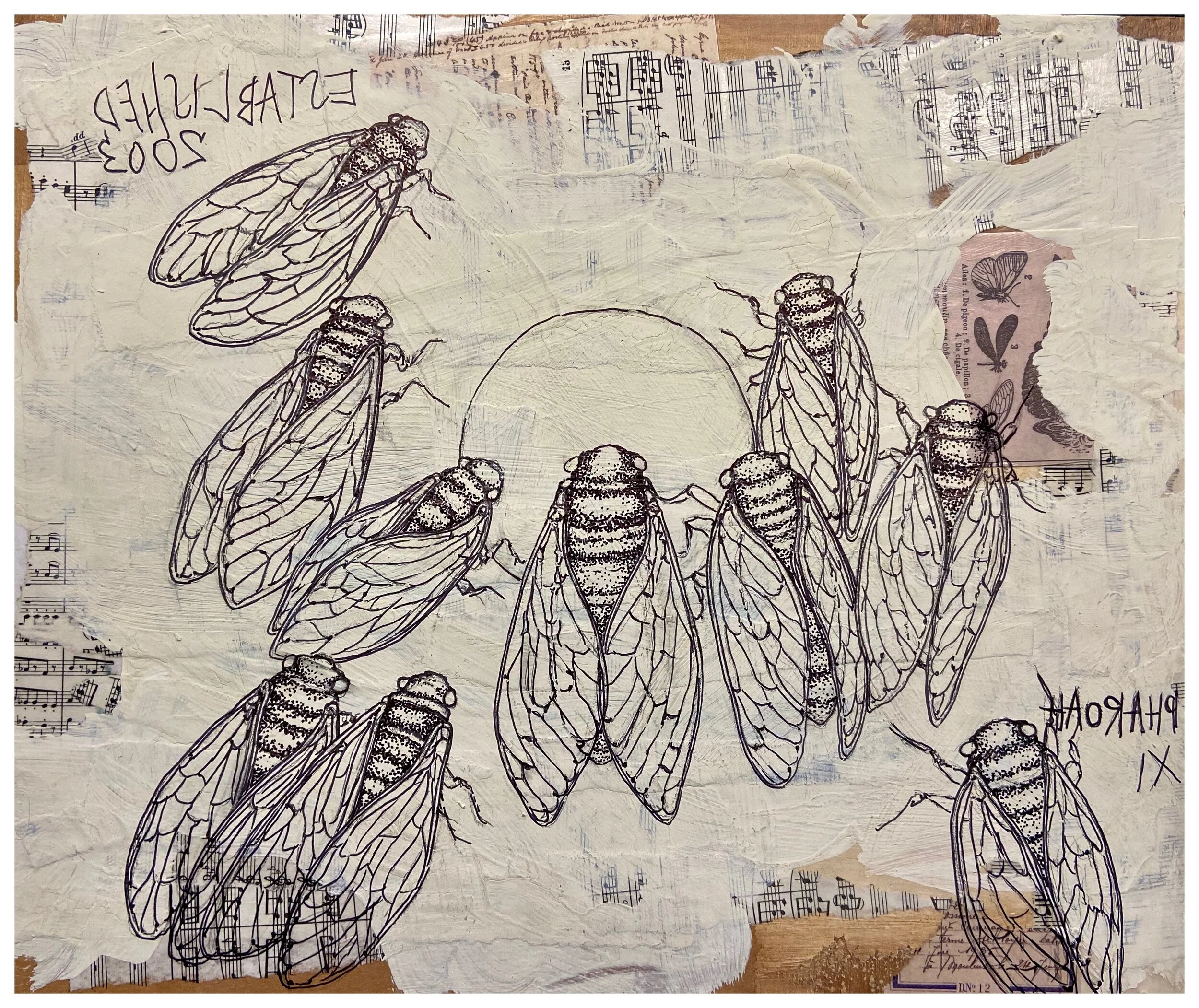 Cicada Symphonies.JPG
