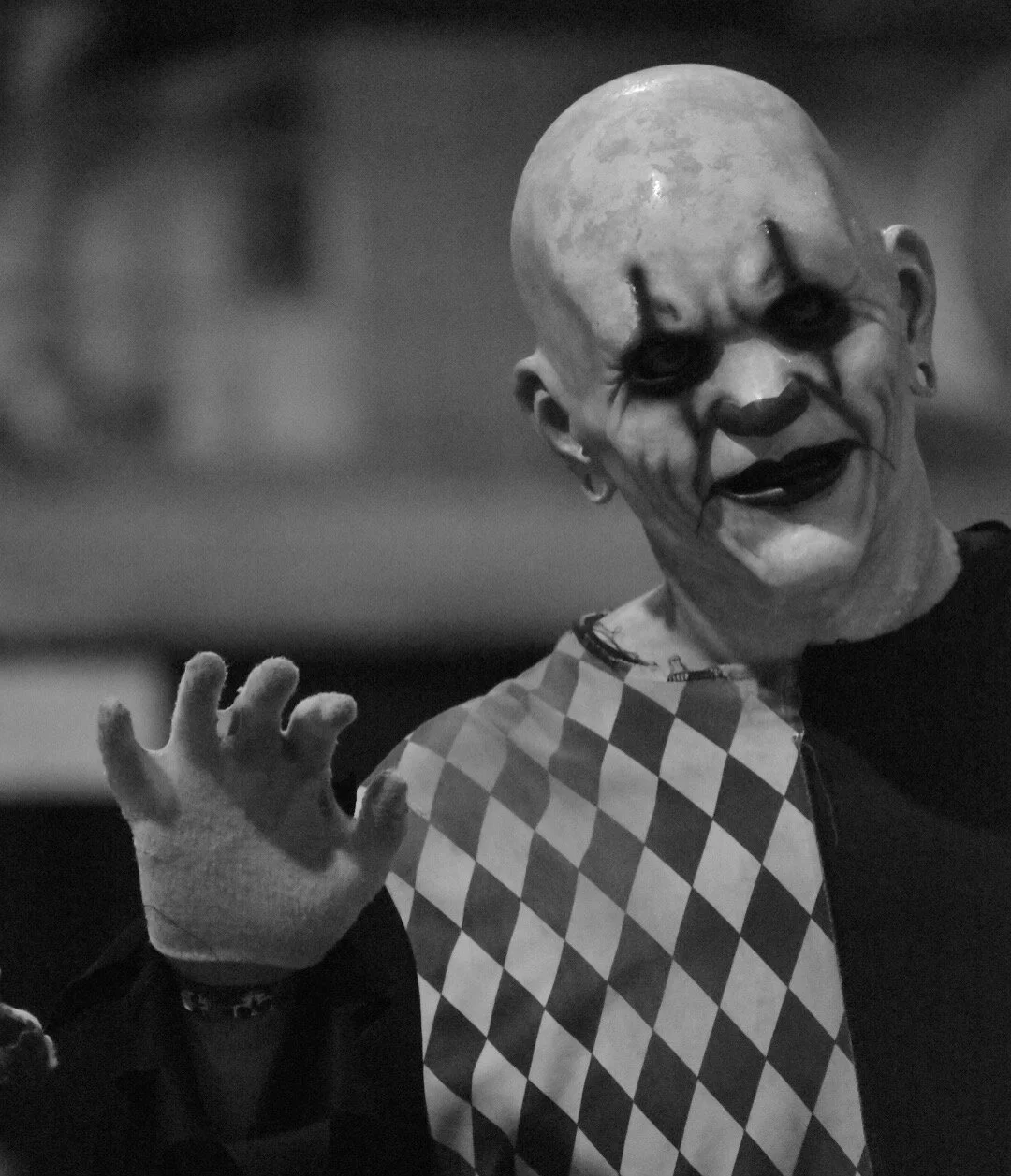 4EF1FD81-3BC2-429D-98C2-966B8D81735D 2.JPG