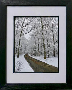 Walking in a Winter Wonderland.jpeg