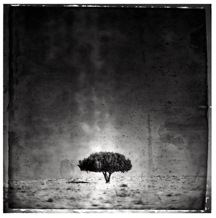 Screen Shot 2023-02-03 at 3.05.49 PM.png