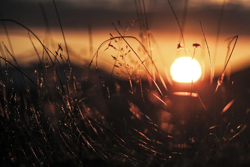 BoundlessN03.jpg