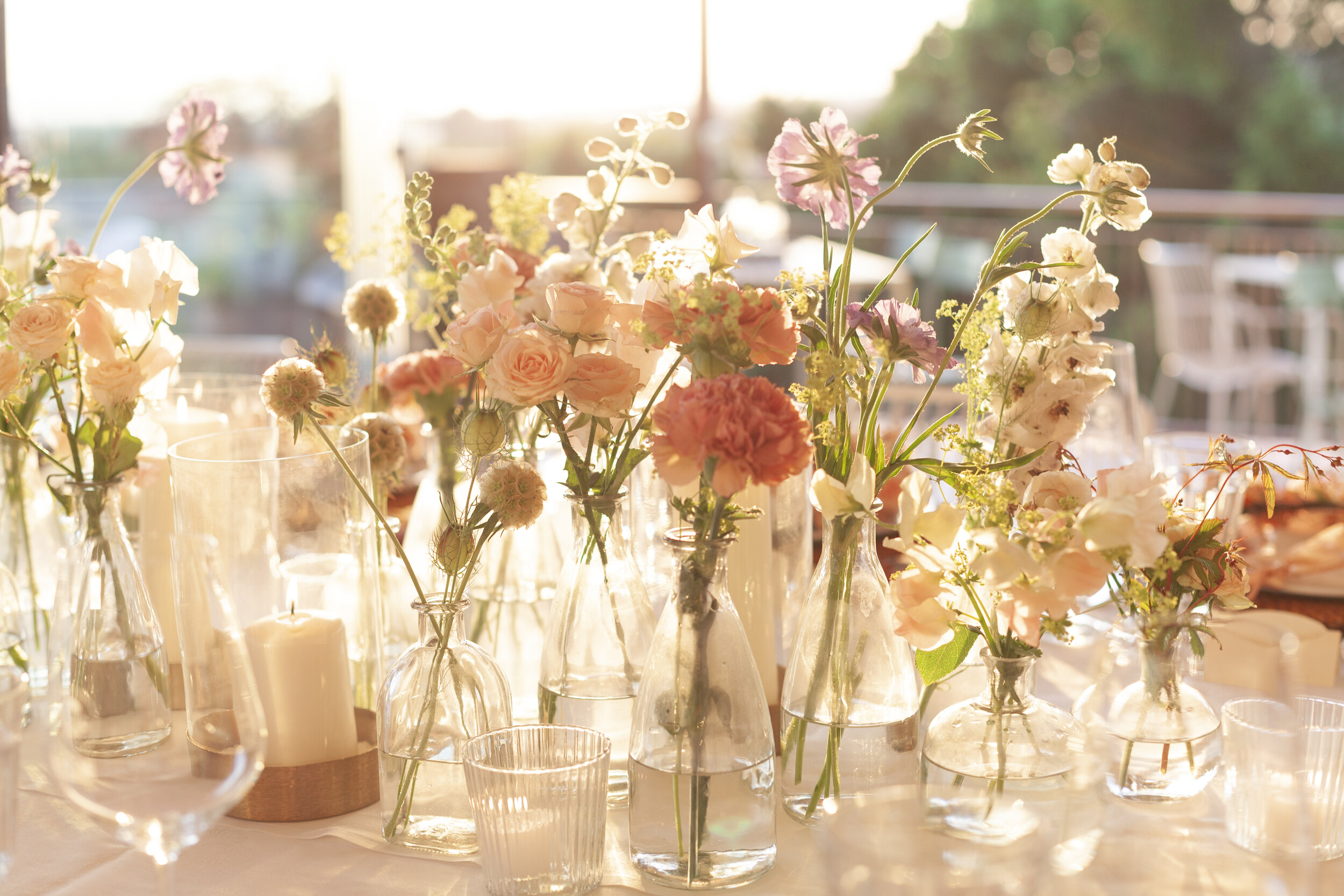 Flowers in sunlight during an event