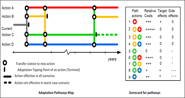 Prof Walker Adaptive Strategies.png