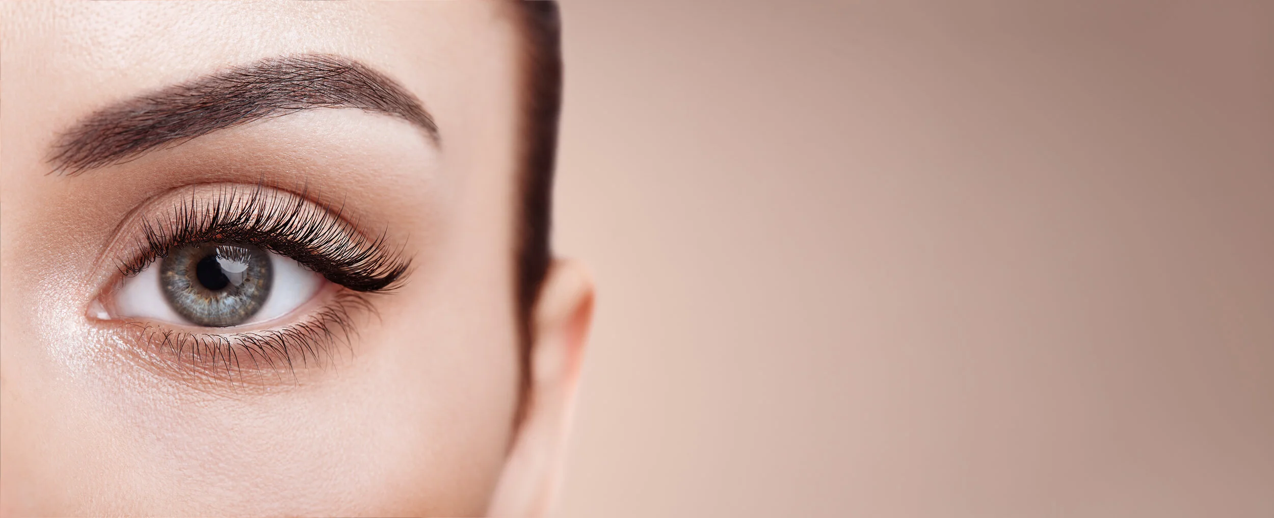 female-eye-with-long-false-eyelashes-RK44MKR.jpg