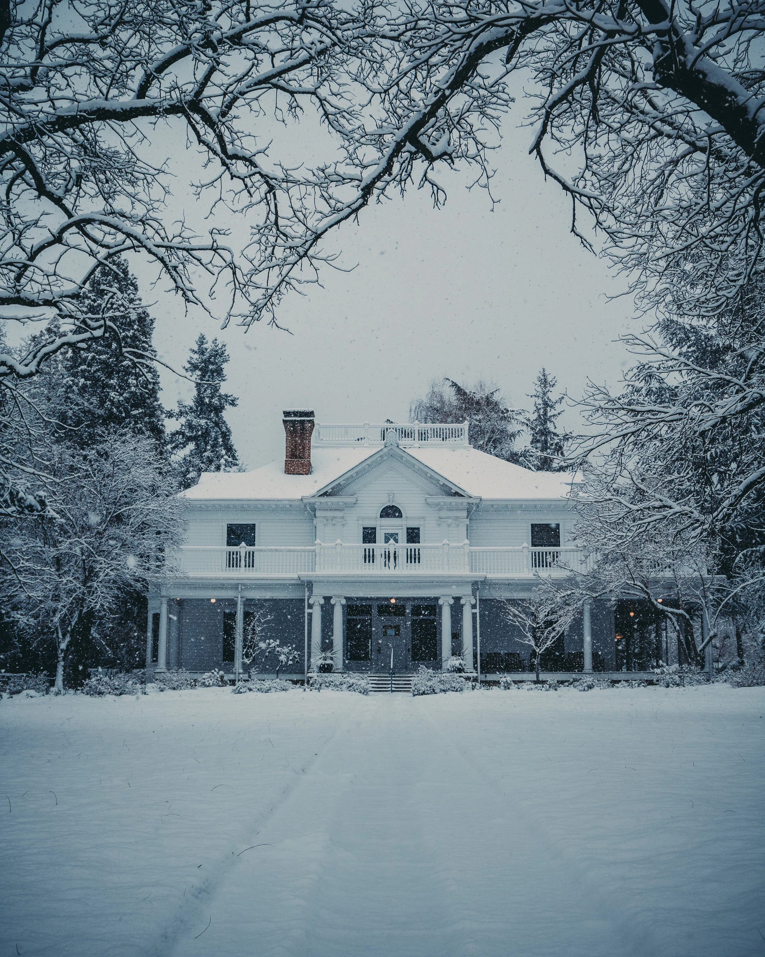 winter.jpg