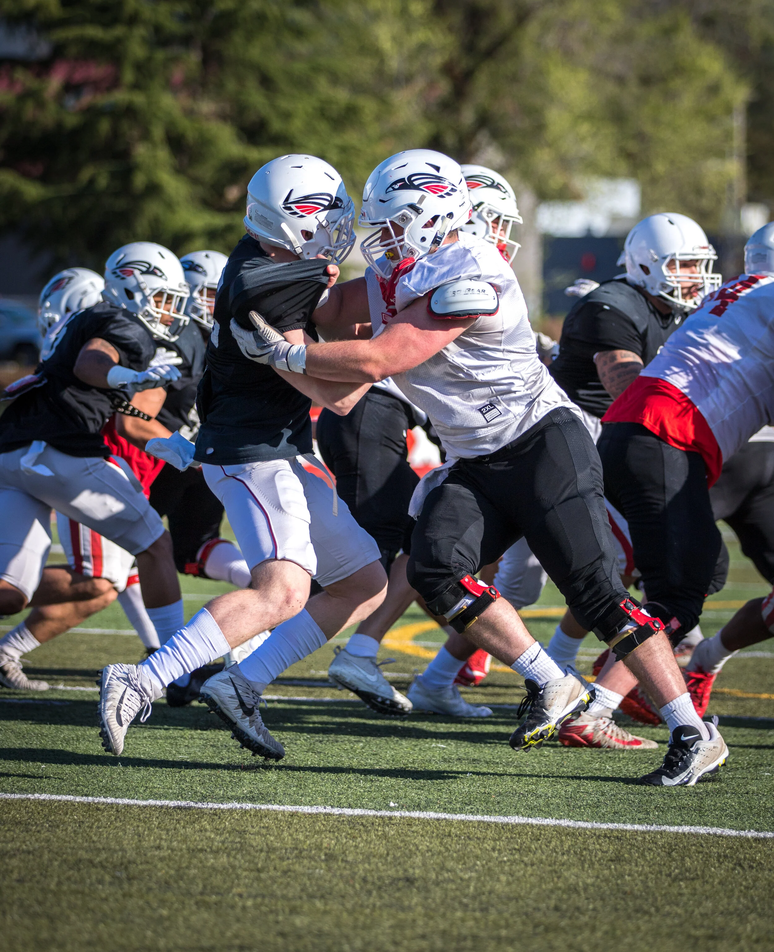 American football players in a game, with two players in helmets and pads engaging at the line of scrimmage on a field.