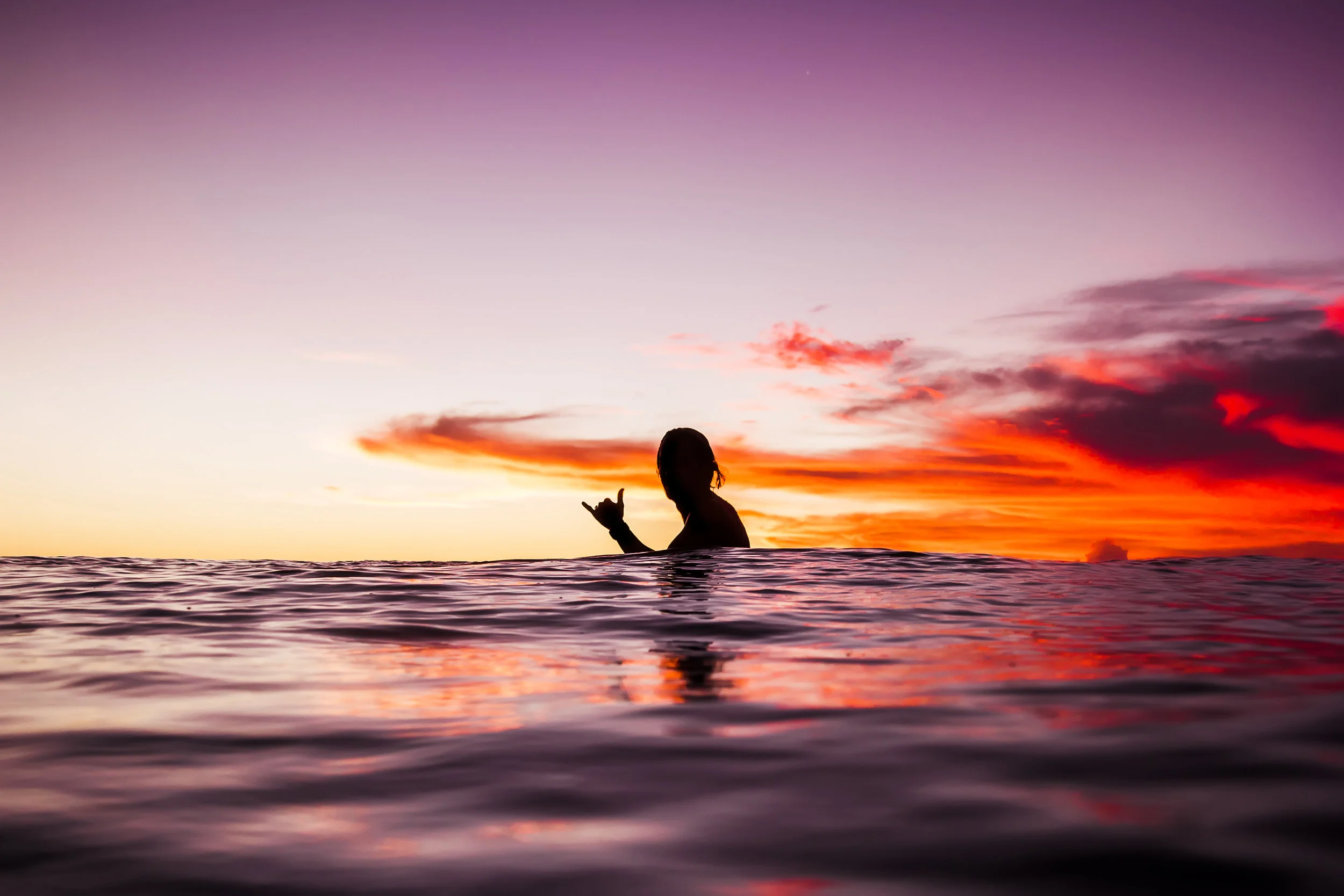 shutterstock_523510279.jpg
