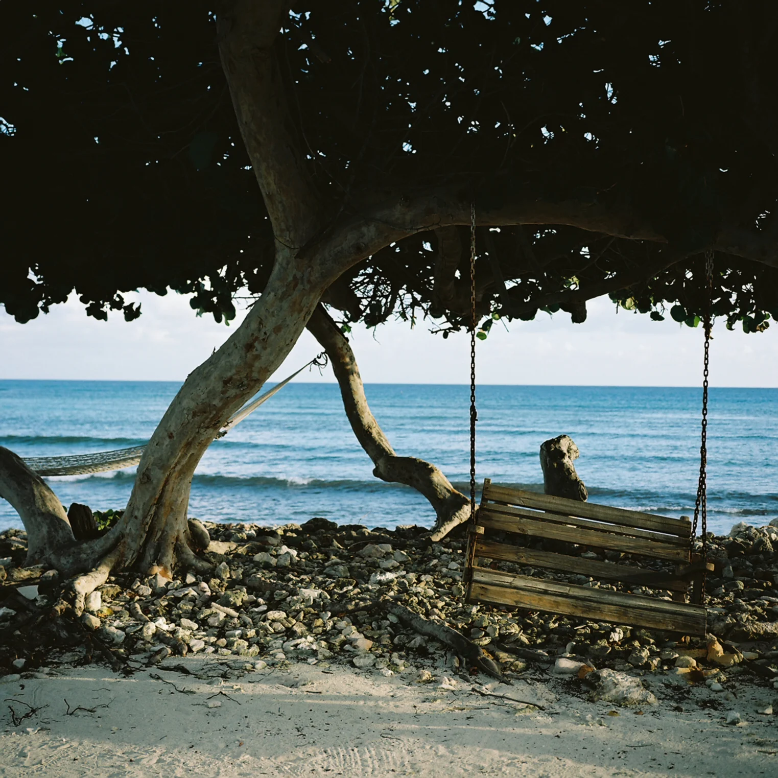 Little Cayman Island, Cayman Islands, British West Indies.
