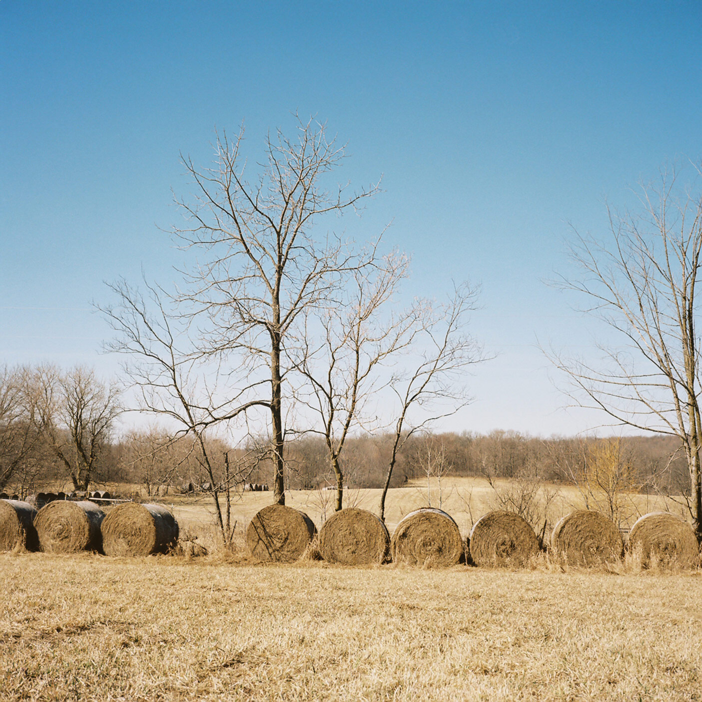 13-photography-minneapolis-bernadette-pollard.jpg