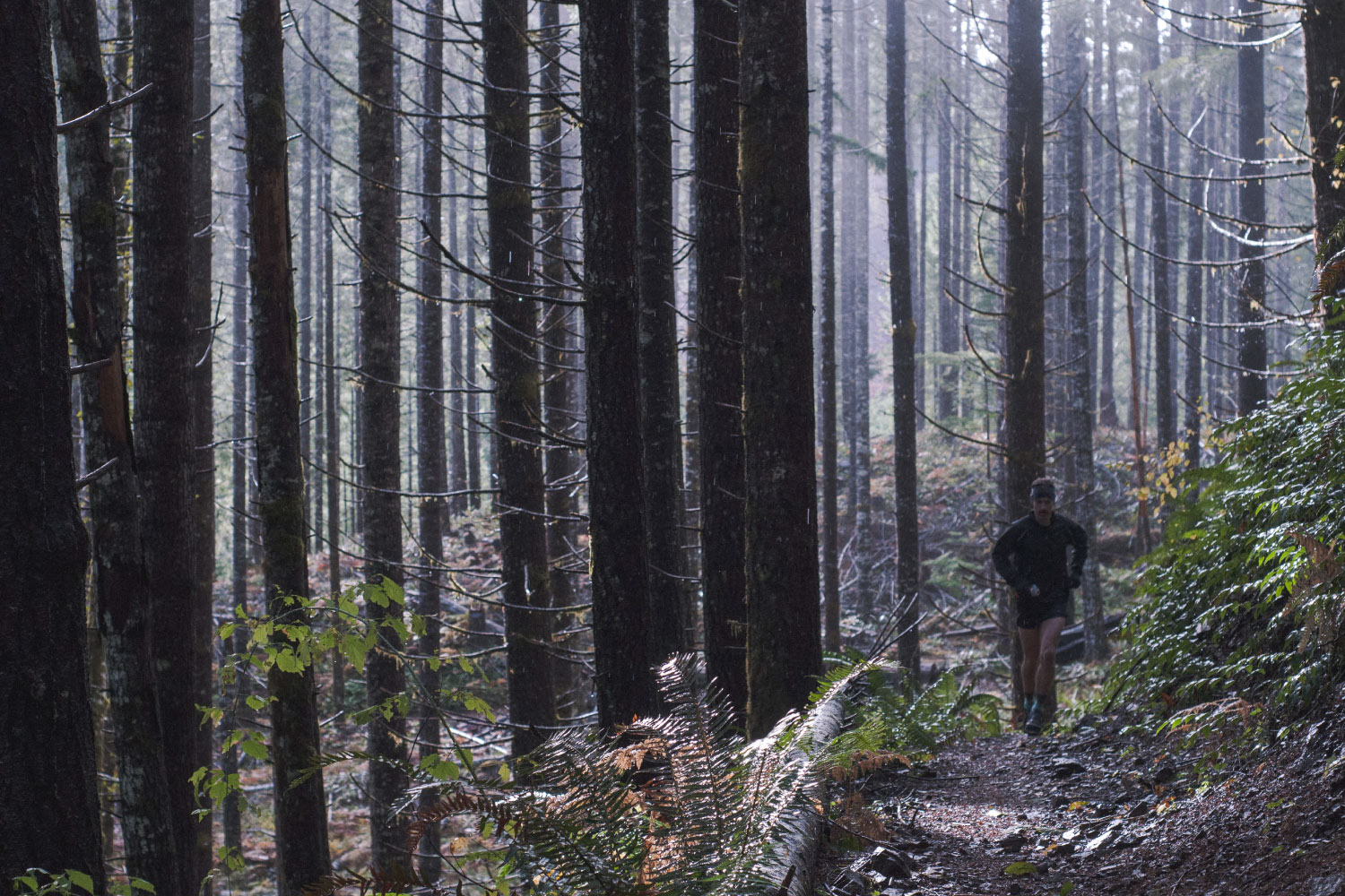 "Why I Run." Territory Run Co. Online. 