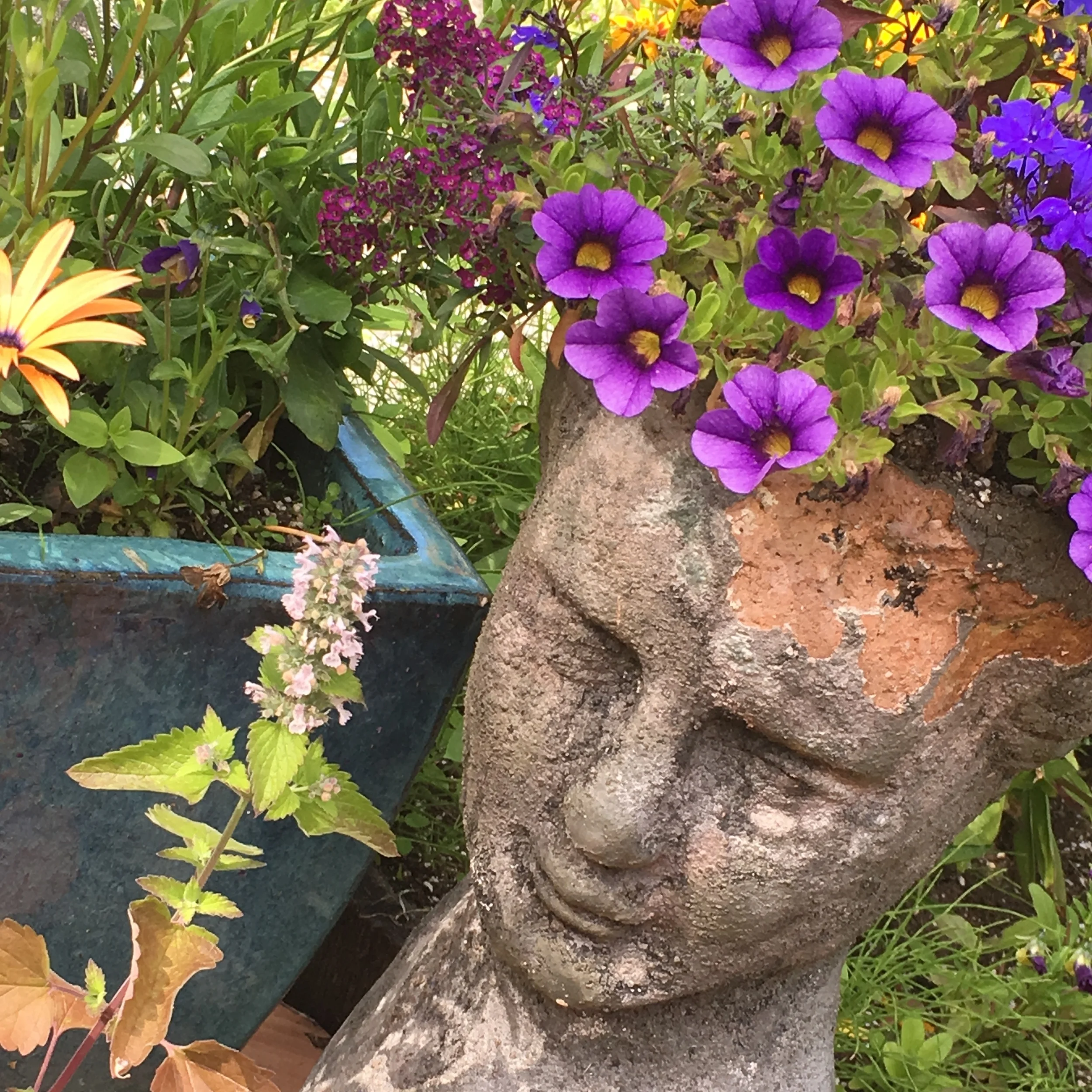 Stop Being Self-Indulgent