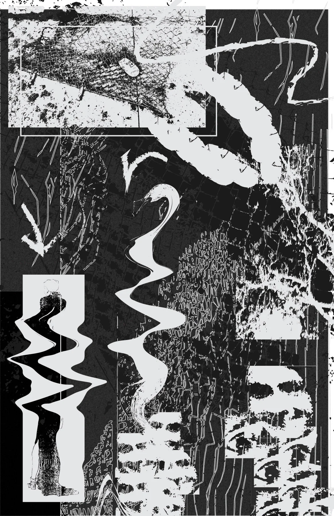 collage-5.jpg