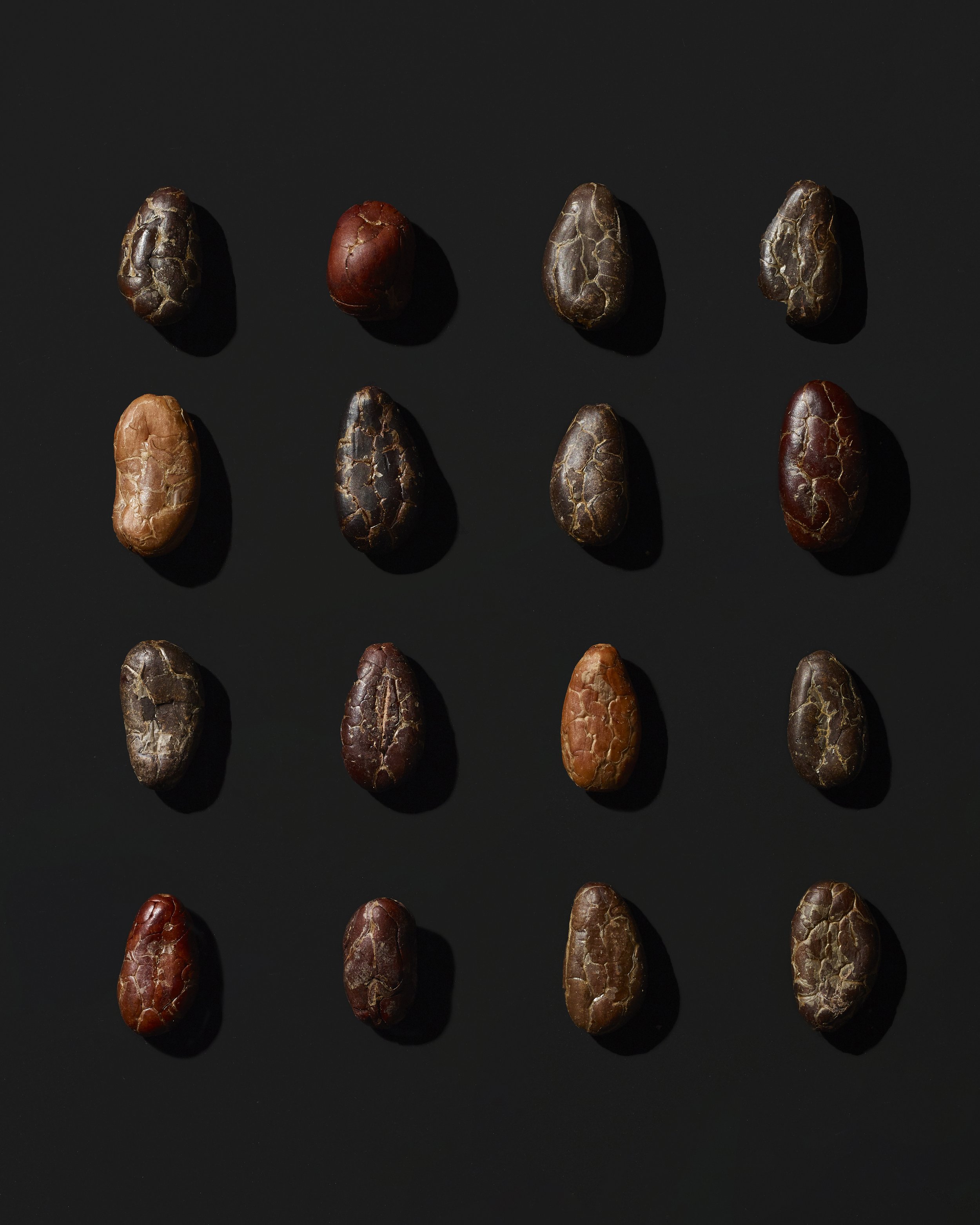 cacao_95246_crop.jpg