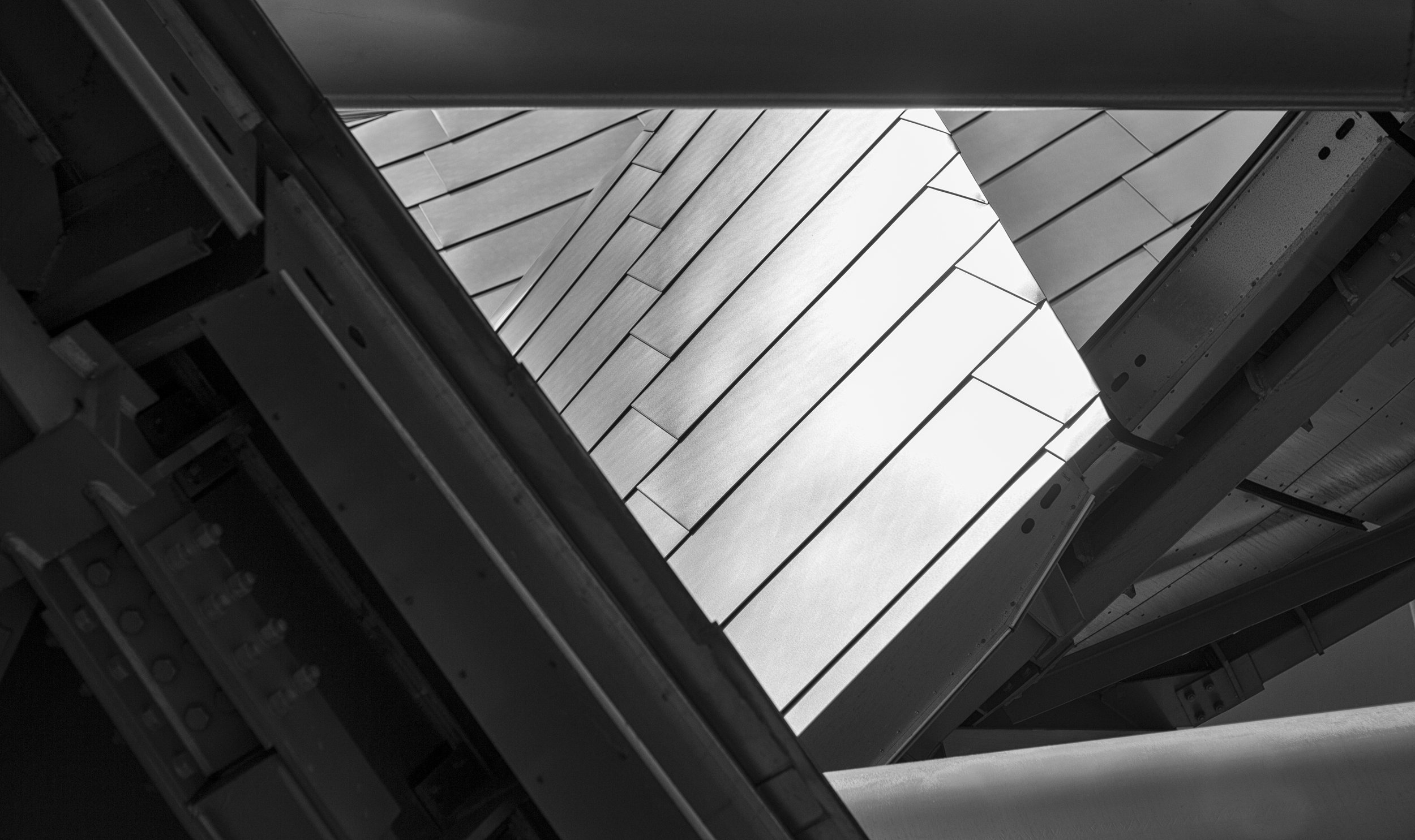 _21P0205-Edit-Edit-Edit.jpg