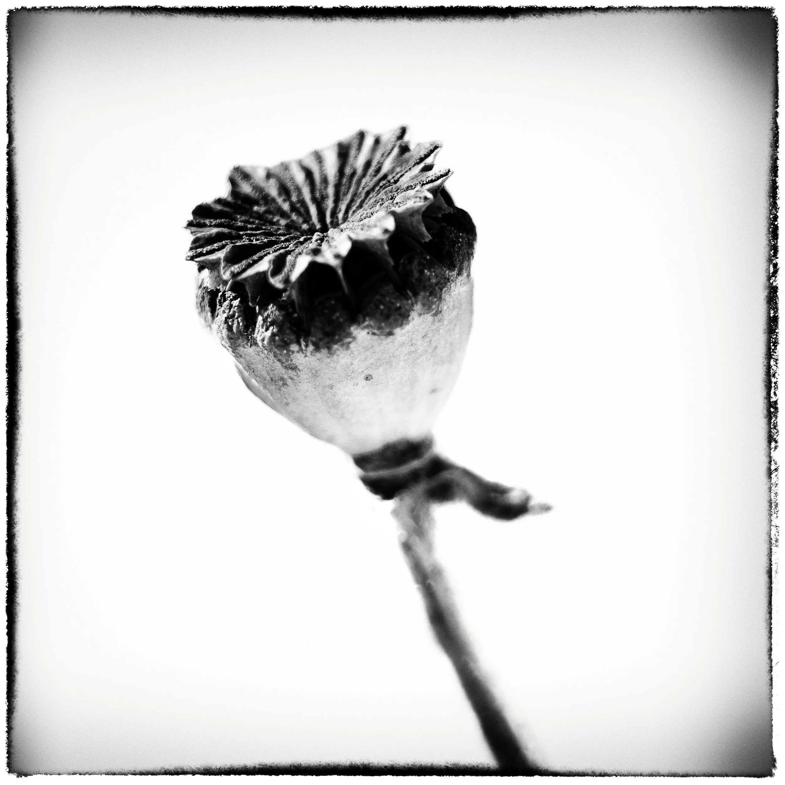 _JRE8859-Edit.jpg