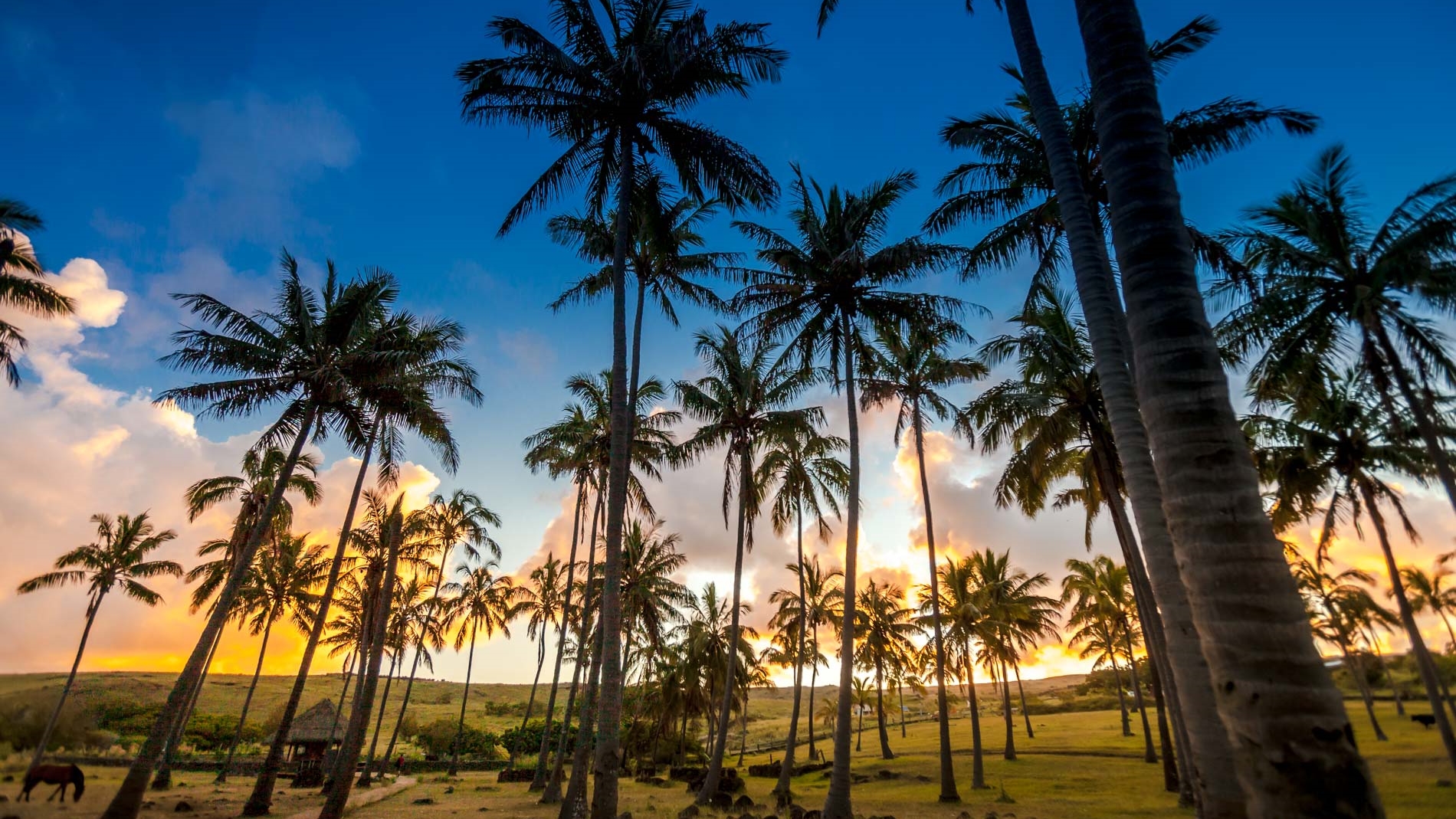 ISLA DE PASCUA - KONAKOA LODGE - SIN LOGO-2.jpg