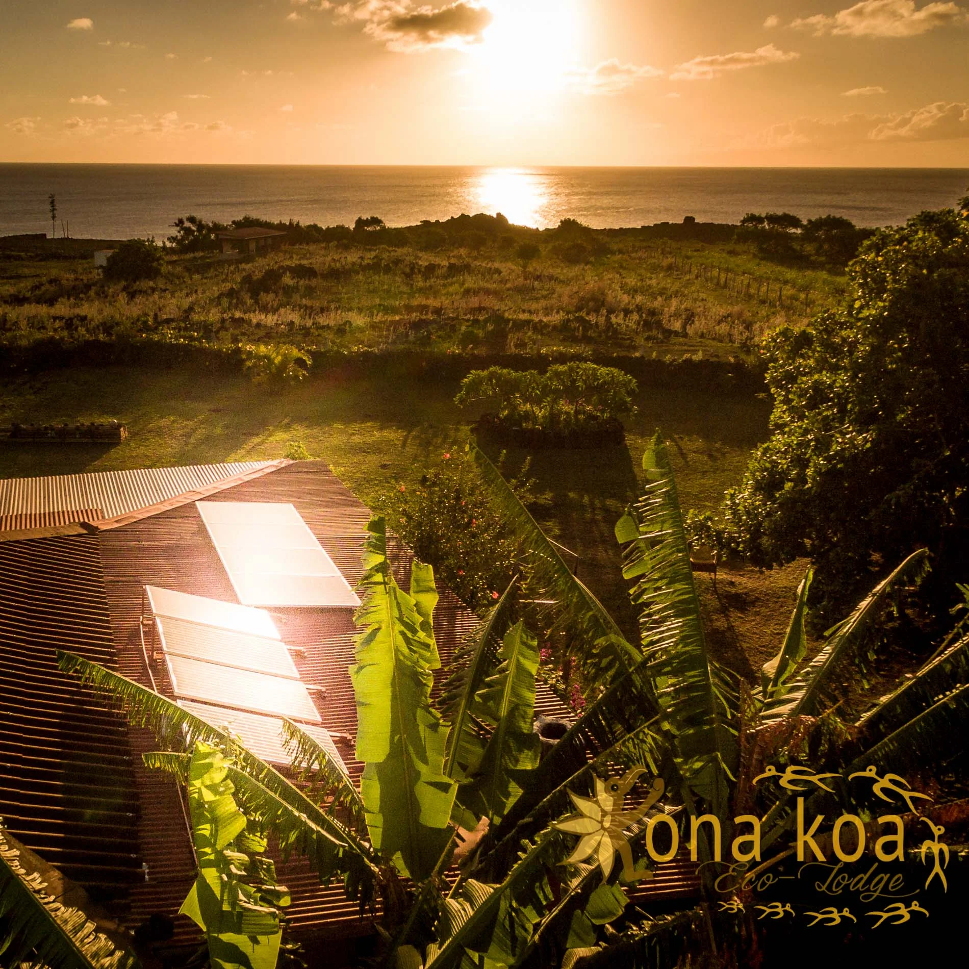 ISLA DE PASCUA - KONA KOA LODGE - CON LOGO-16.jpg