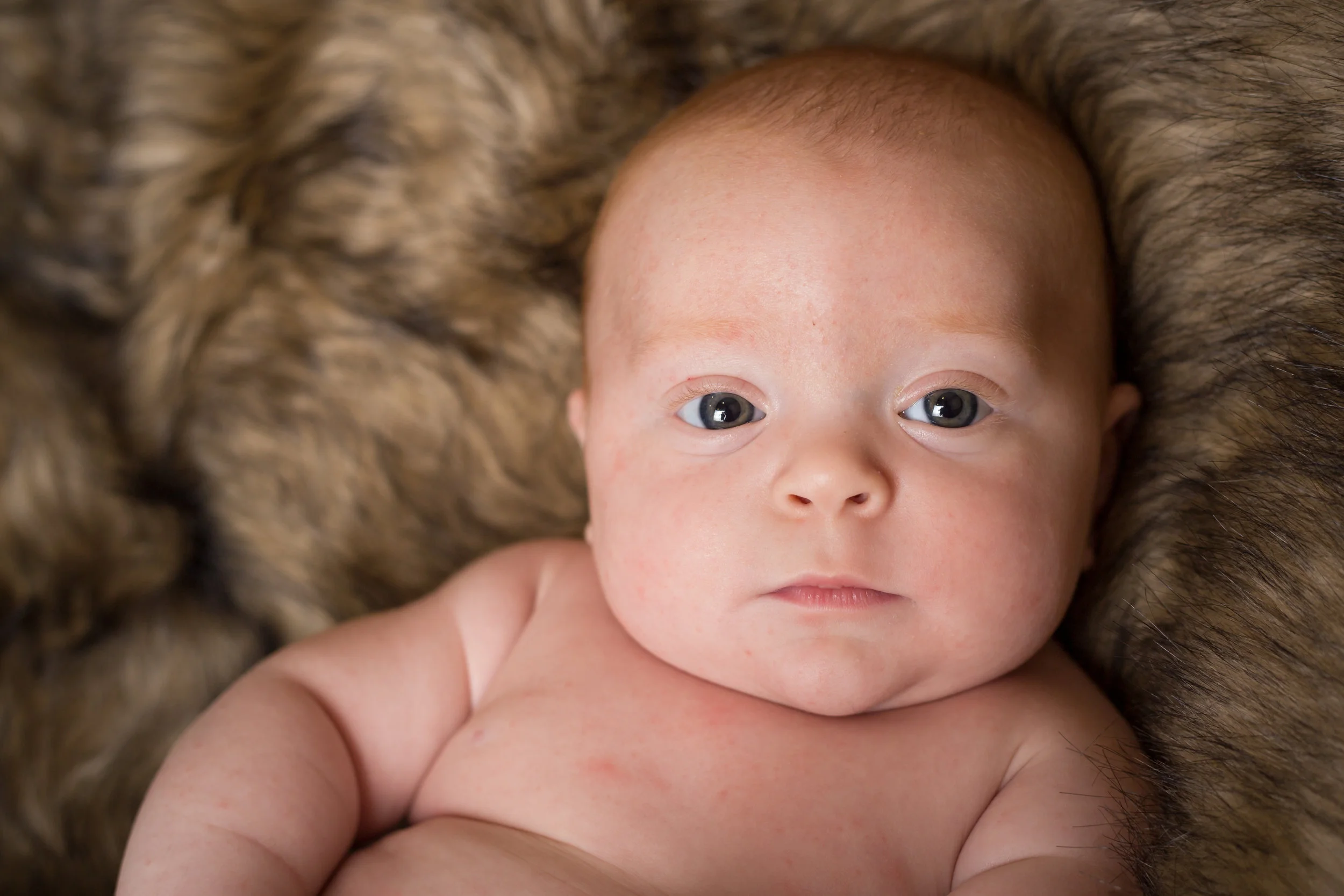Briggs | Three Months