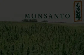 monsanto.jpg