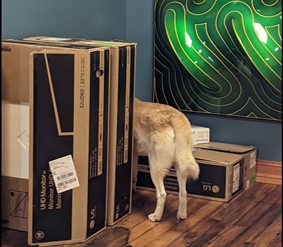 Our top employee, Doug, immediatley went to work identifying the path the infiltrator took across the office.