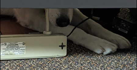 Just a power adapter…