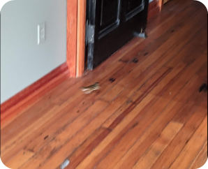 The little chipper bolted right past Doug and into the vast office of Ablesoft…to this day his whereabouts are unknown as he remains at large. One day justice will be found, until then, Doug will be waiting.