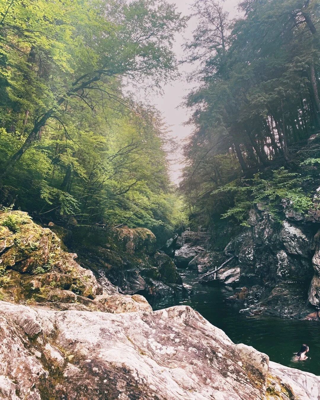 sacred spots 
to recharge
.
to appreciate
all this beauty
.
that has been 
bestowed upon us
by the flapping of 
the hummingbirds wings
the buzz of the bees
the rush of the current
.
falling water
rising soul.
.
🙏🏽🌊☀️
