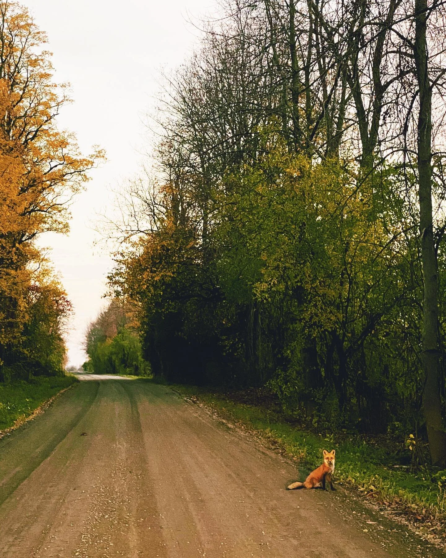 remembering 
the magician.
.
as above.
so below.
.
you hold all the locks.
and all the keys.
.
listen
listen
.
hold your breath
for just a moment
and
listen.