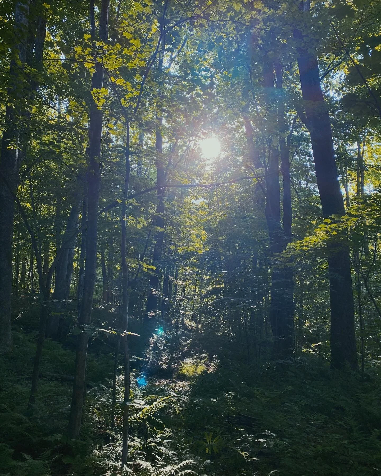 take me to the river.
.
wash away the 
sweat 
tears
blood and gore
of losing 
of disappointment 
of regret
.
give yourself 
a chance to start over
a chance to heal
a chance to rest 
.
jump in,
I promise the waters fine.