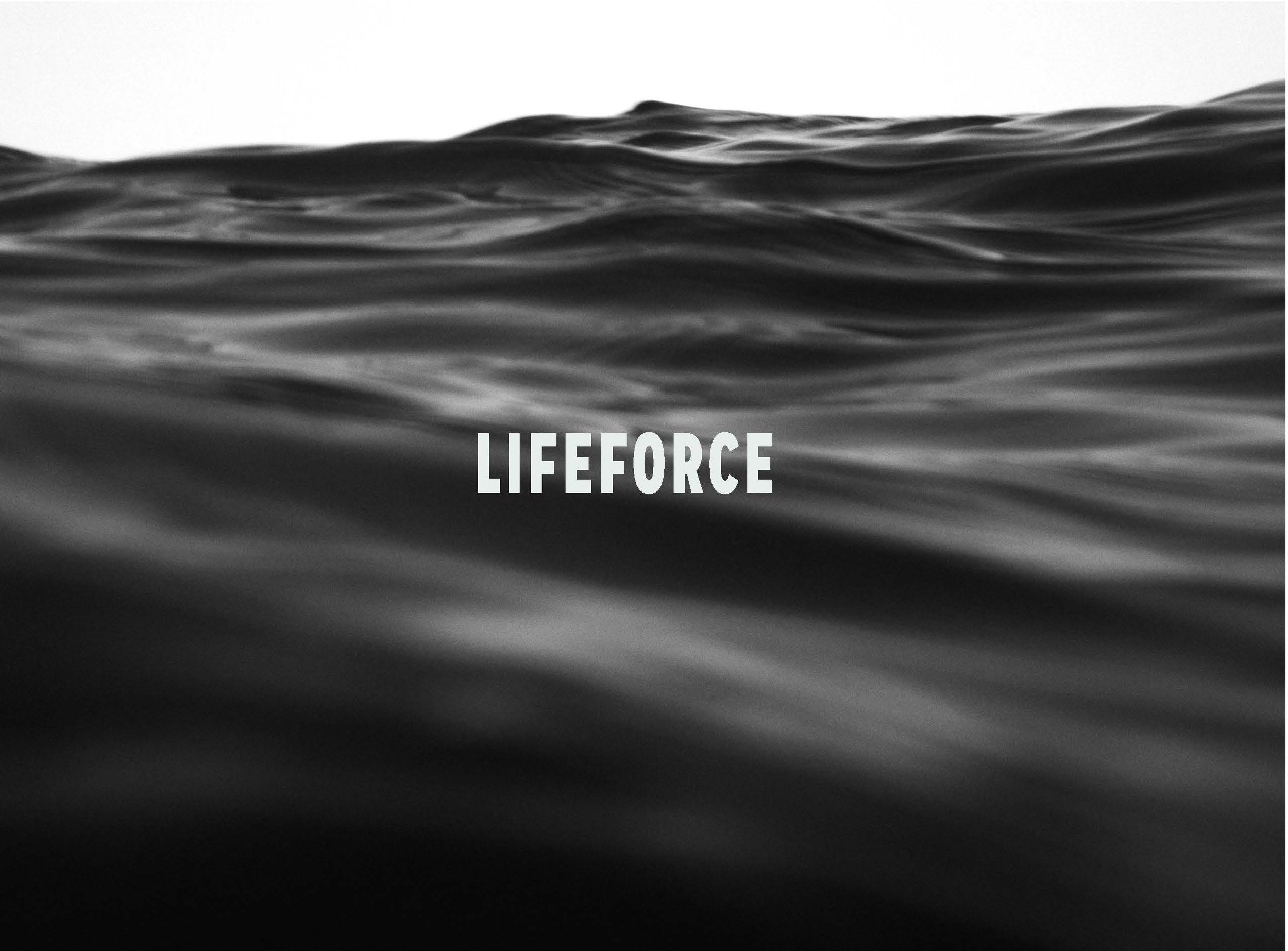 lifeforce5.2_Page_33.jpg