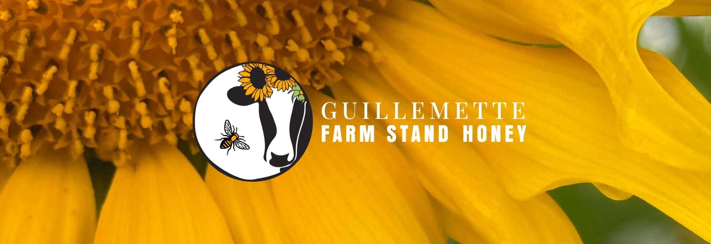 gullemette-carousel.jpg