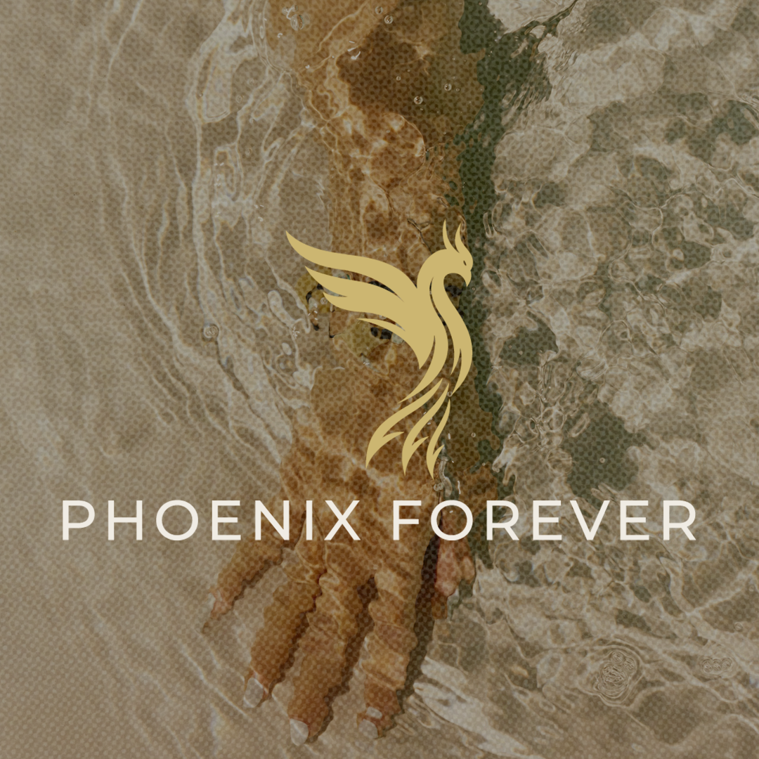 GALLERY-THUMB-PHOENIX.png