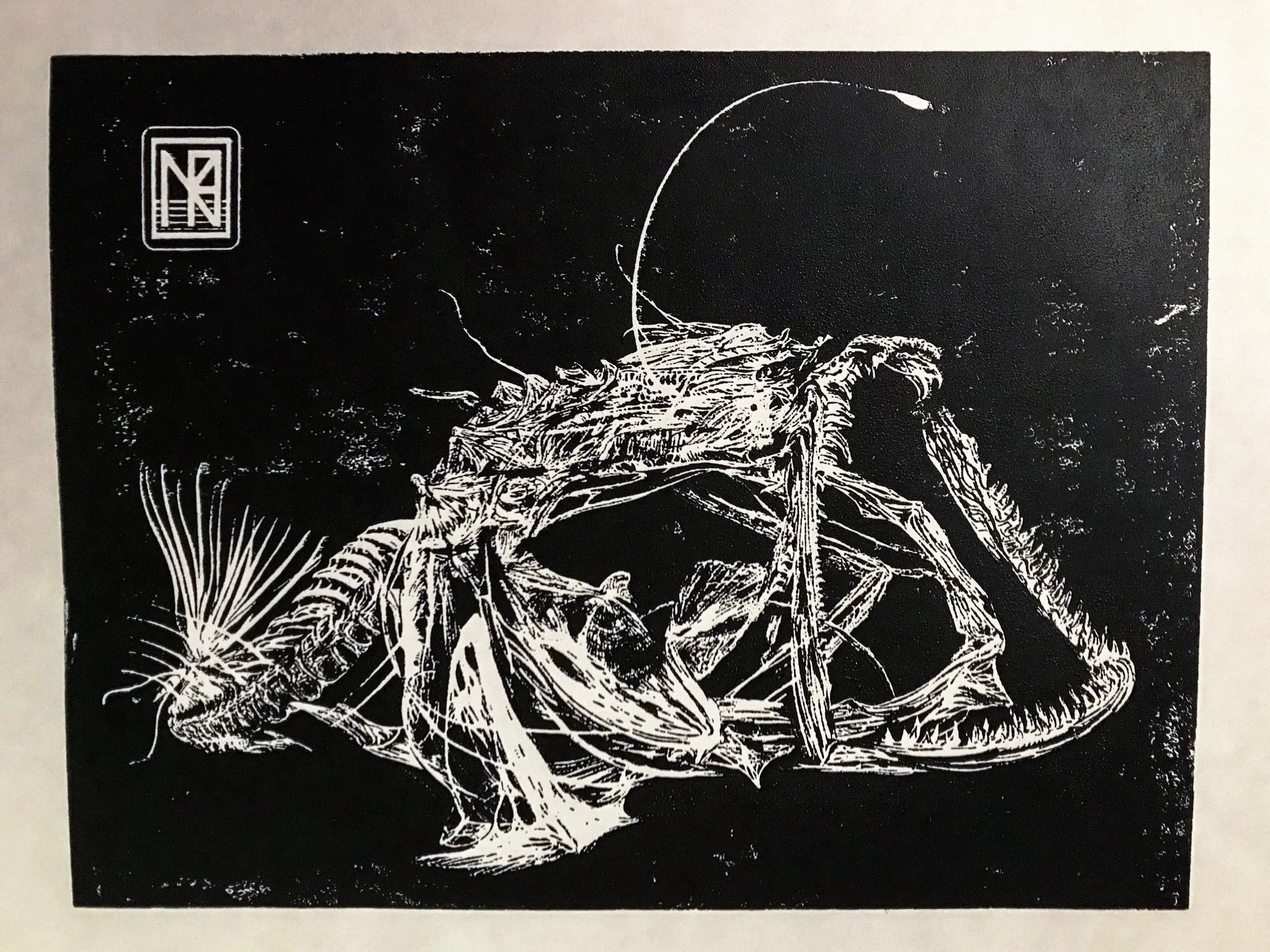 Anglerfish Skeleton, (2018)