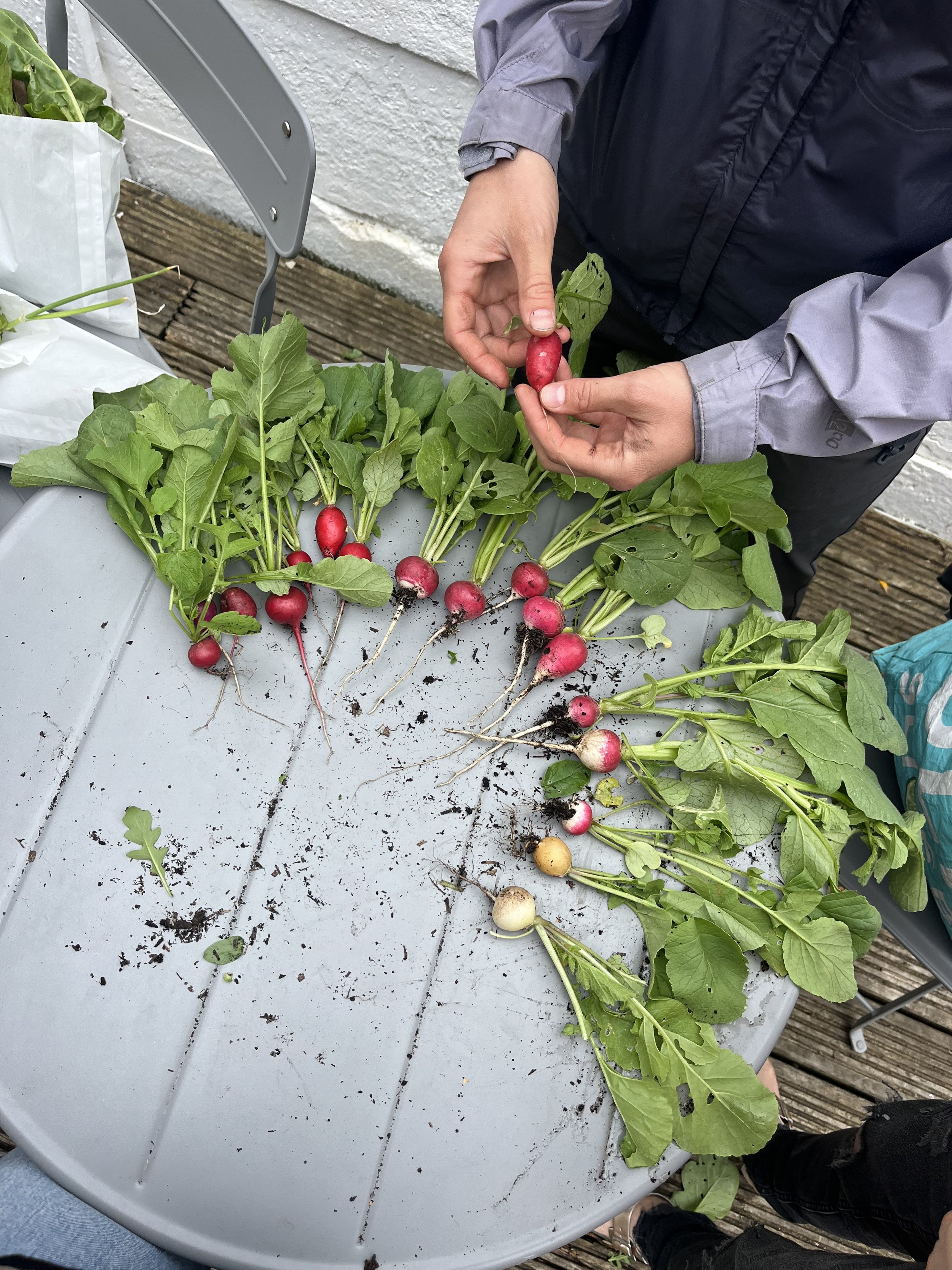 Ministry Pathways: Garden Club in the UK