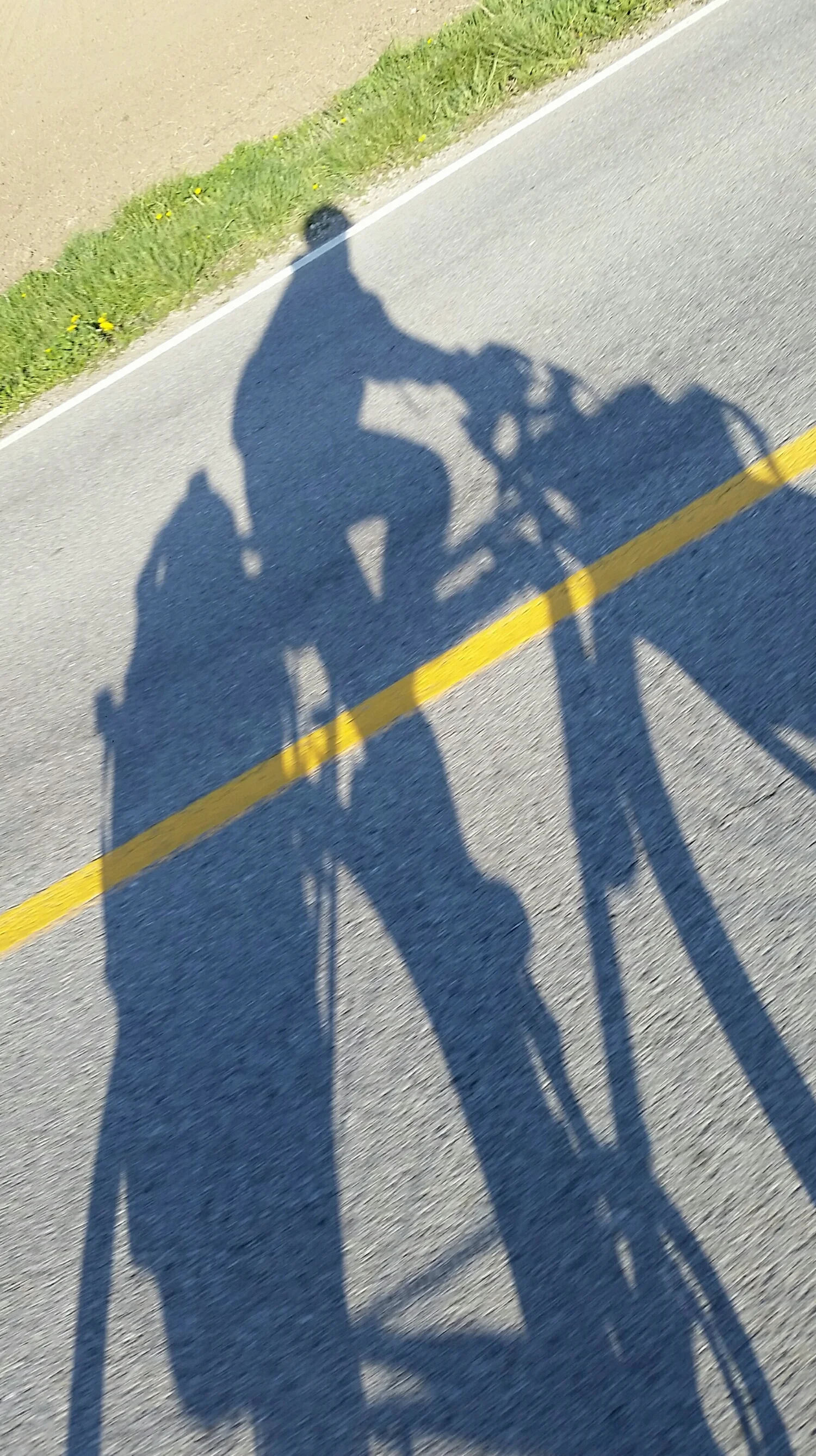 Cruising