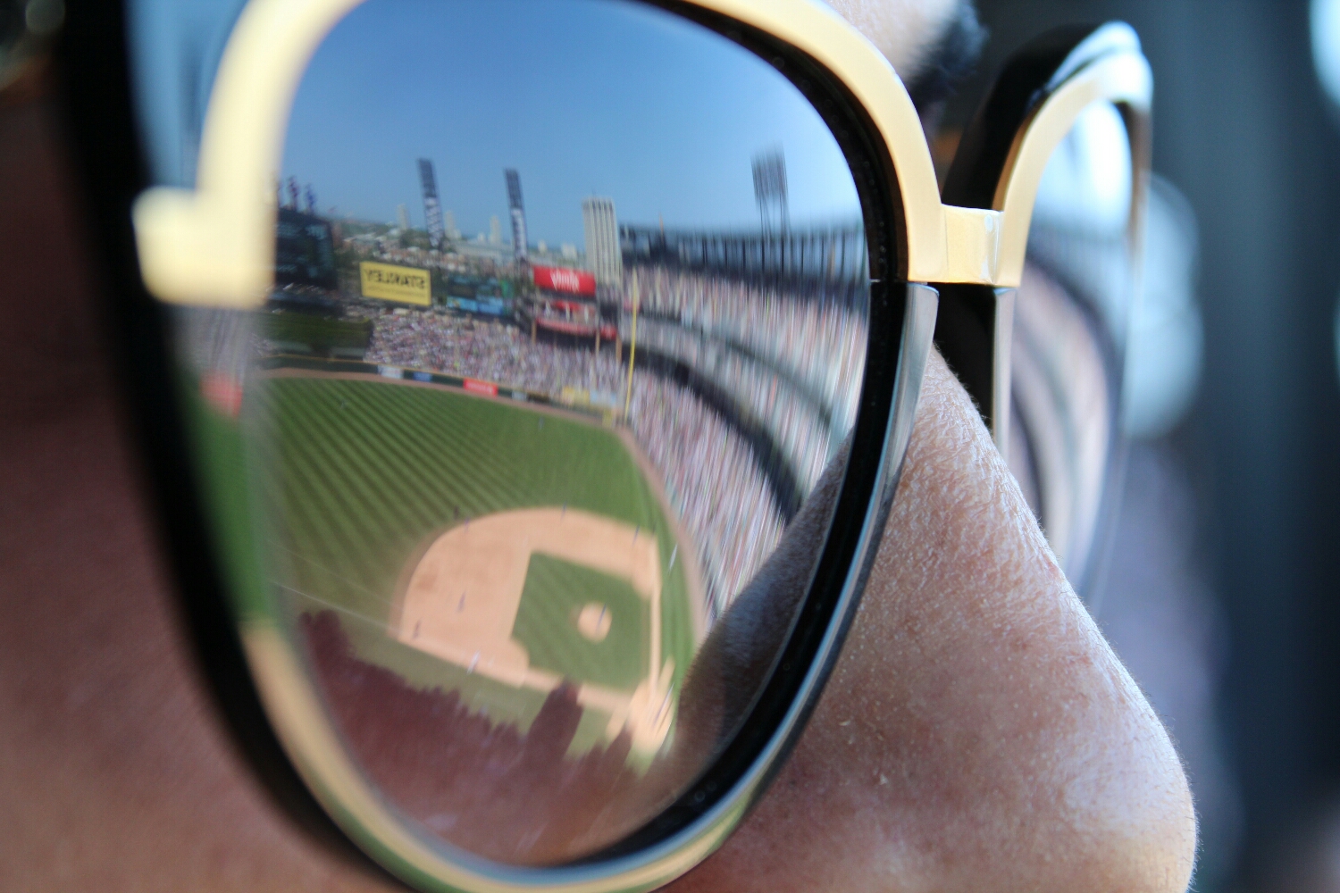 View of the Sox