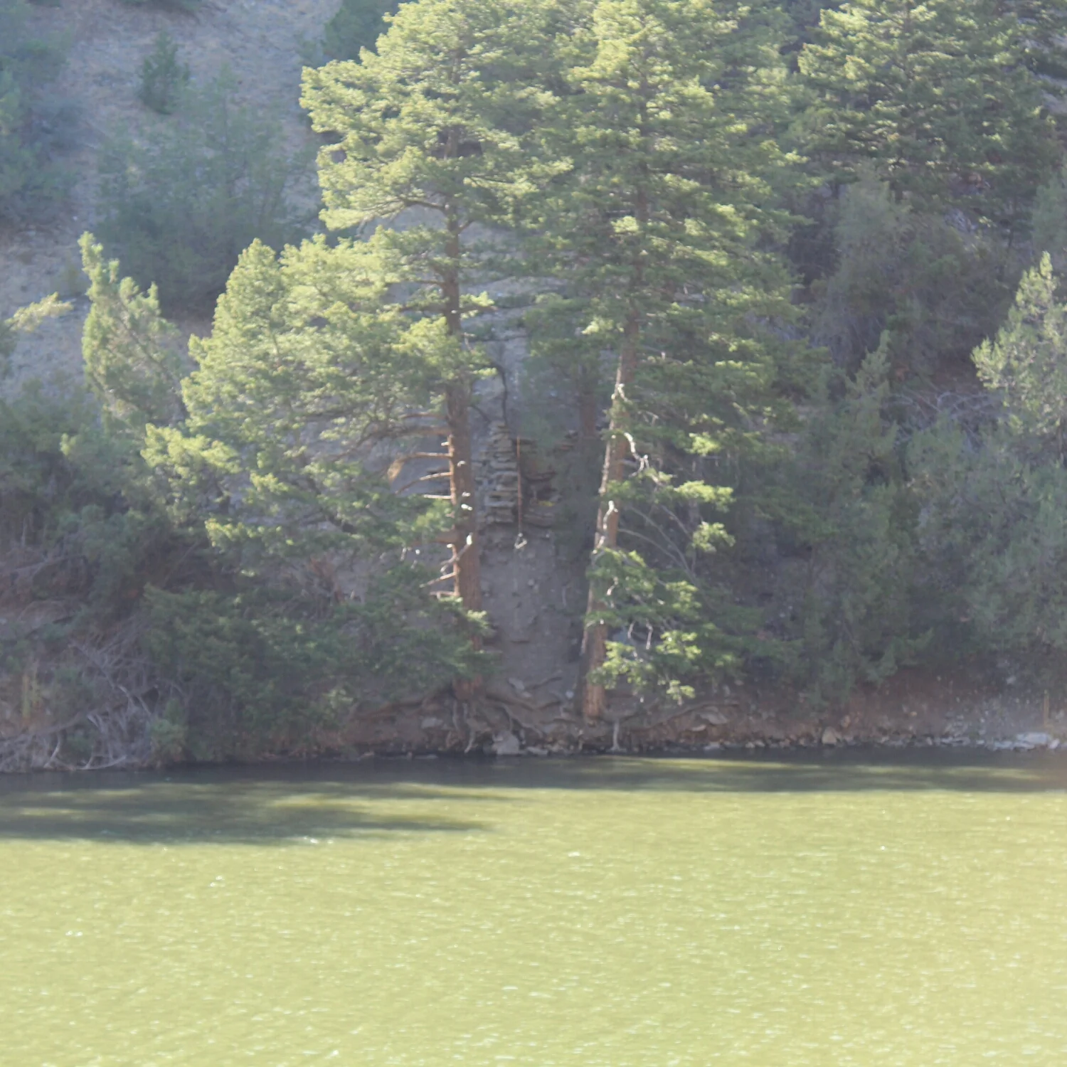The rope swing