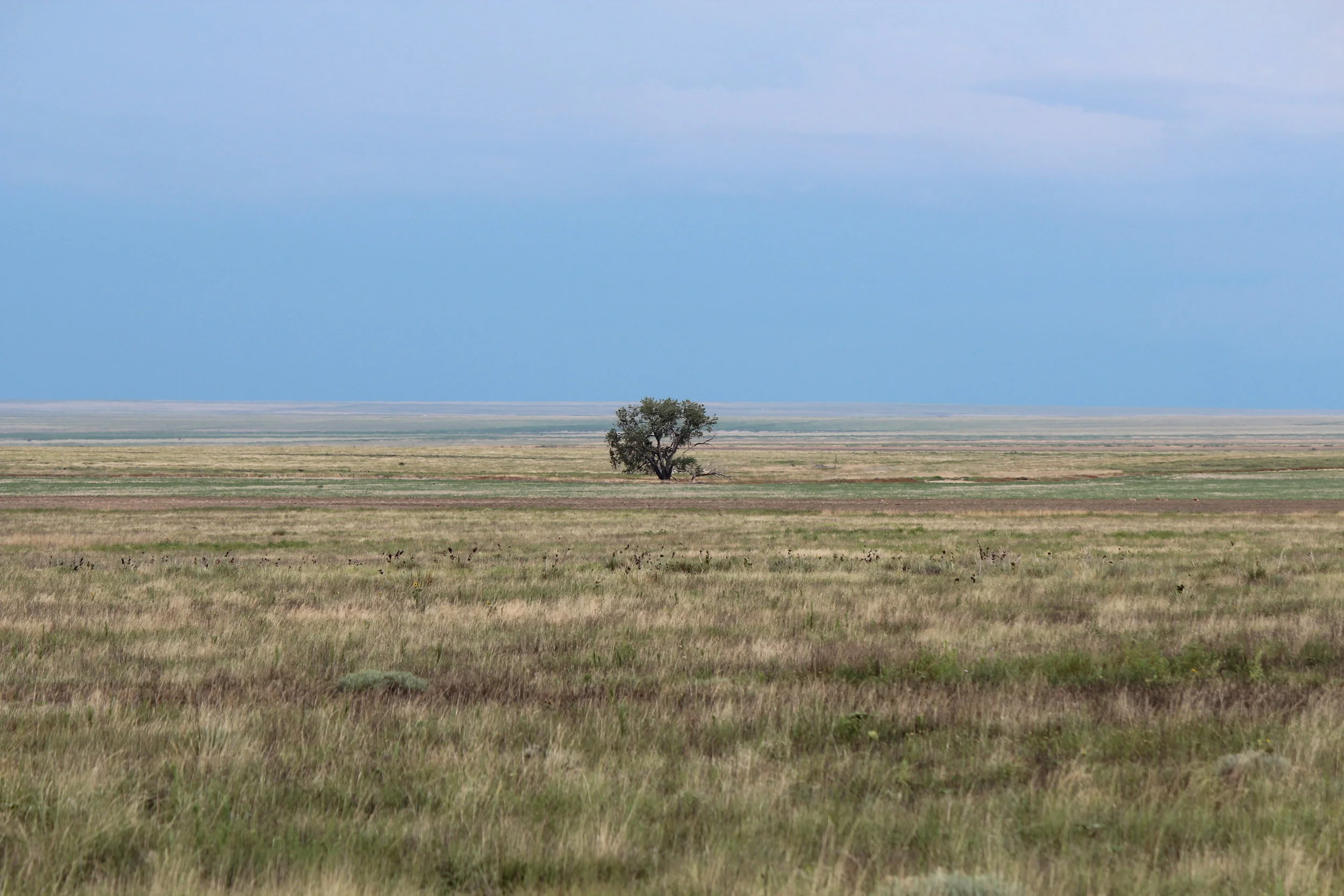Eastern Colorado