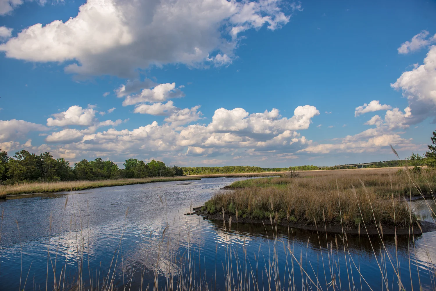 Solano County Homes for Sale — Michelle Perez, REALTOR® | RE/MAX Gold