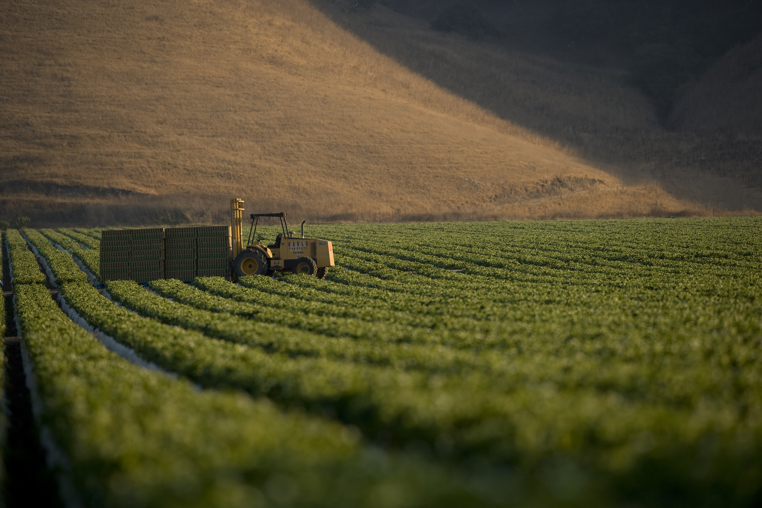01_tractor _SB_3420.jpg